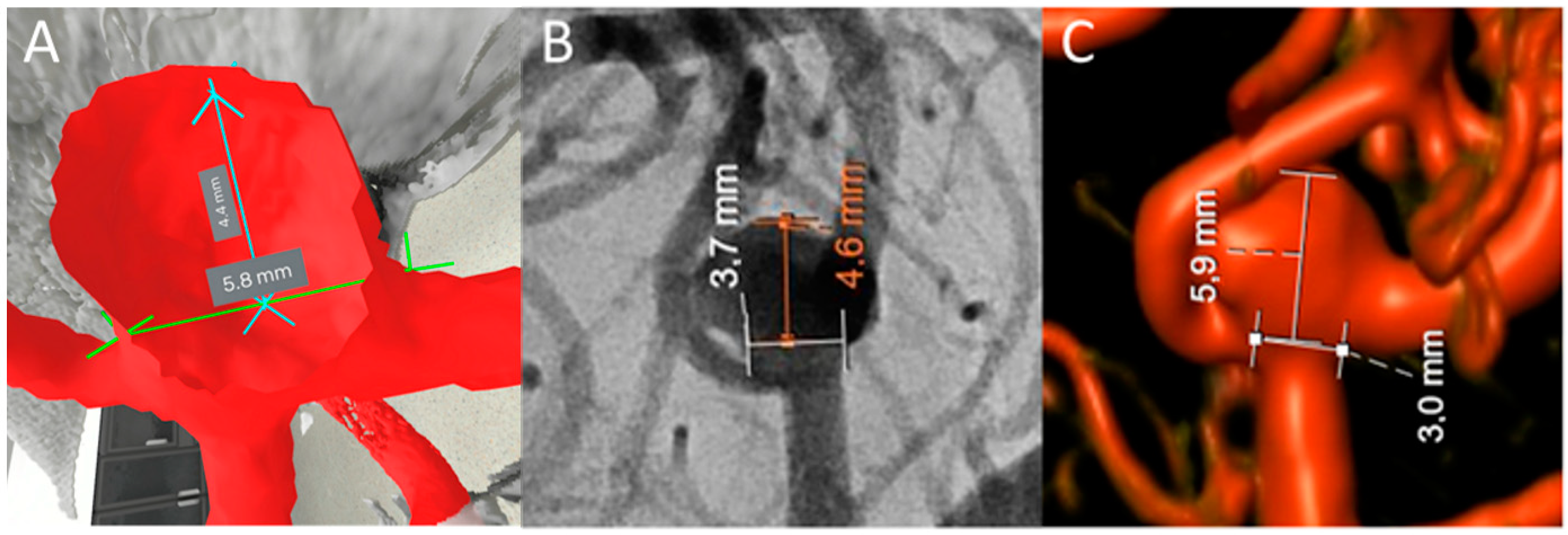 Brainsci 14 00968 g001
