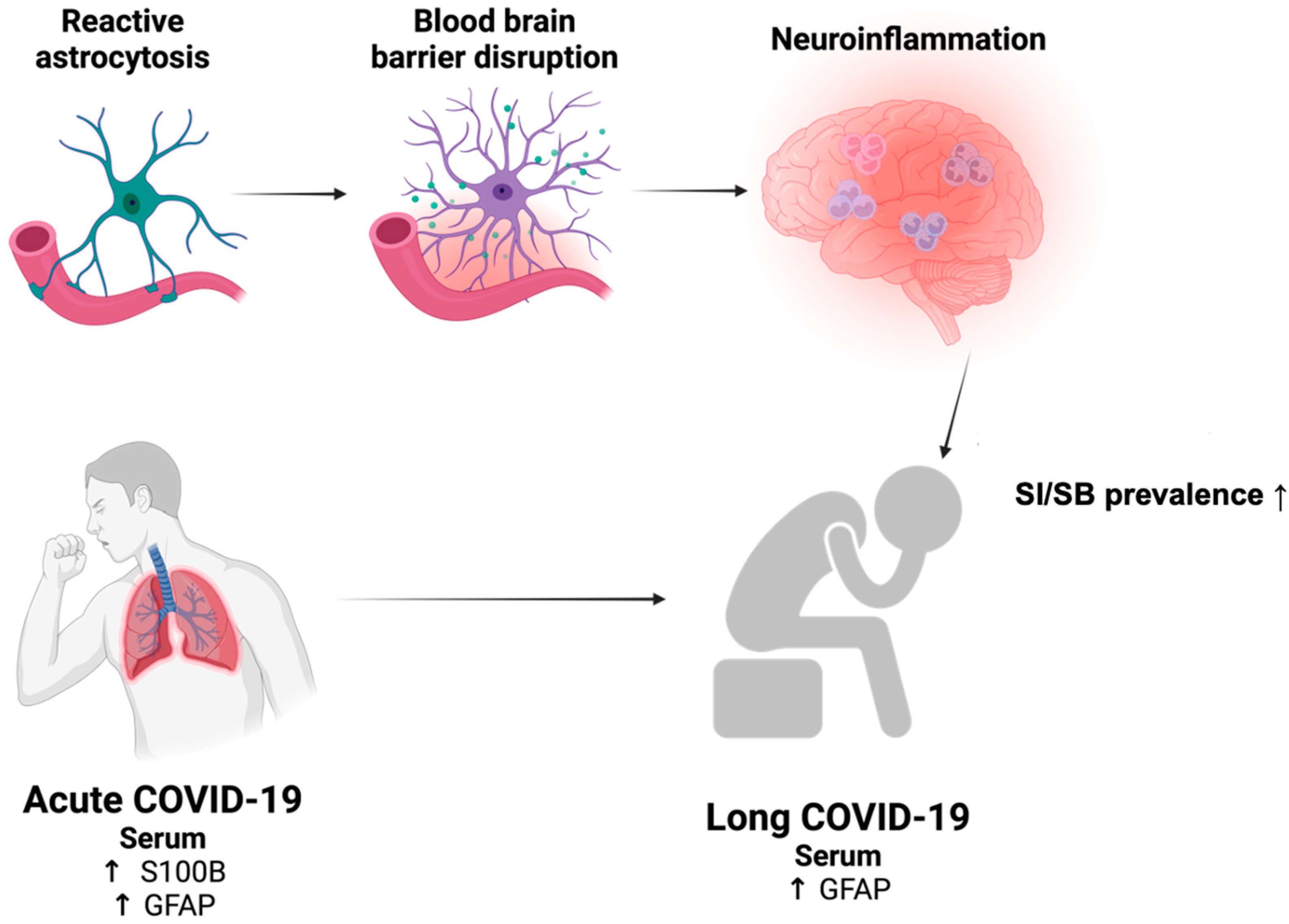 Brainsci 14 00973 g002