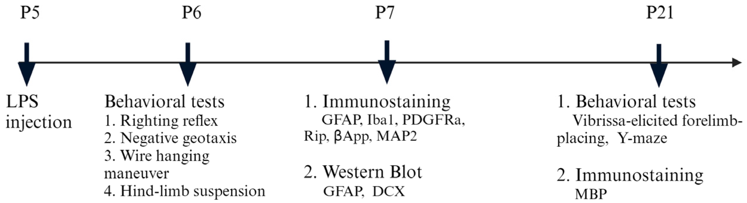 Brainsci 14 00976 g001