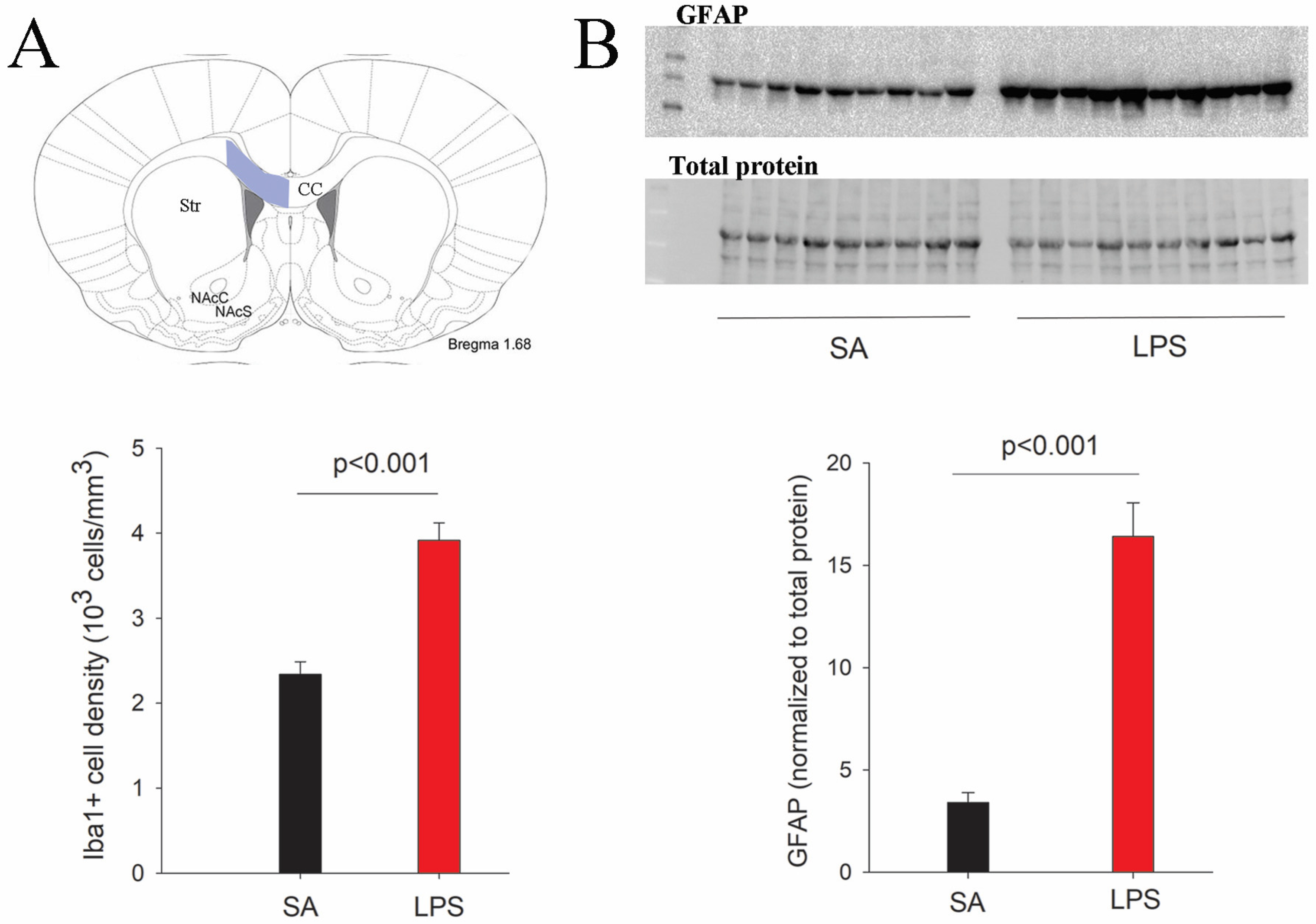 Brainsci 14 00976 g003
