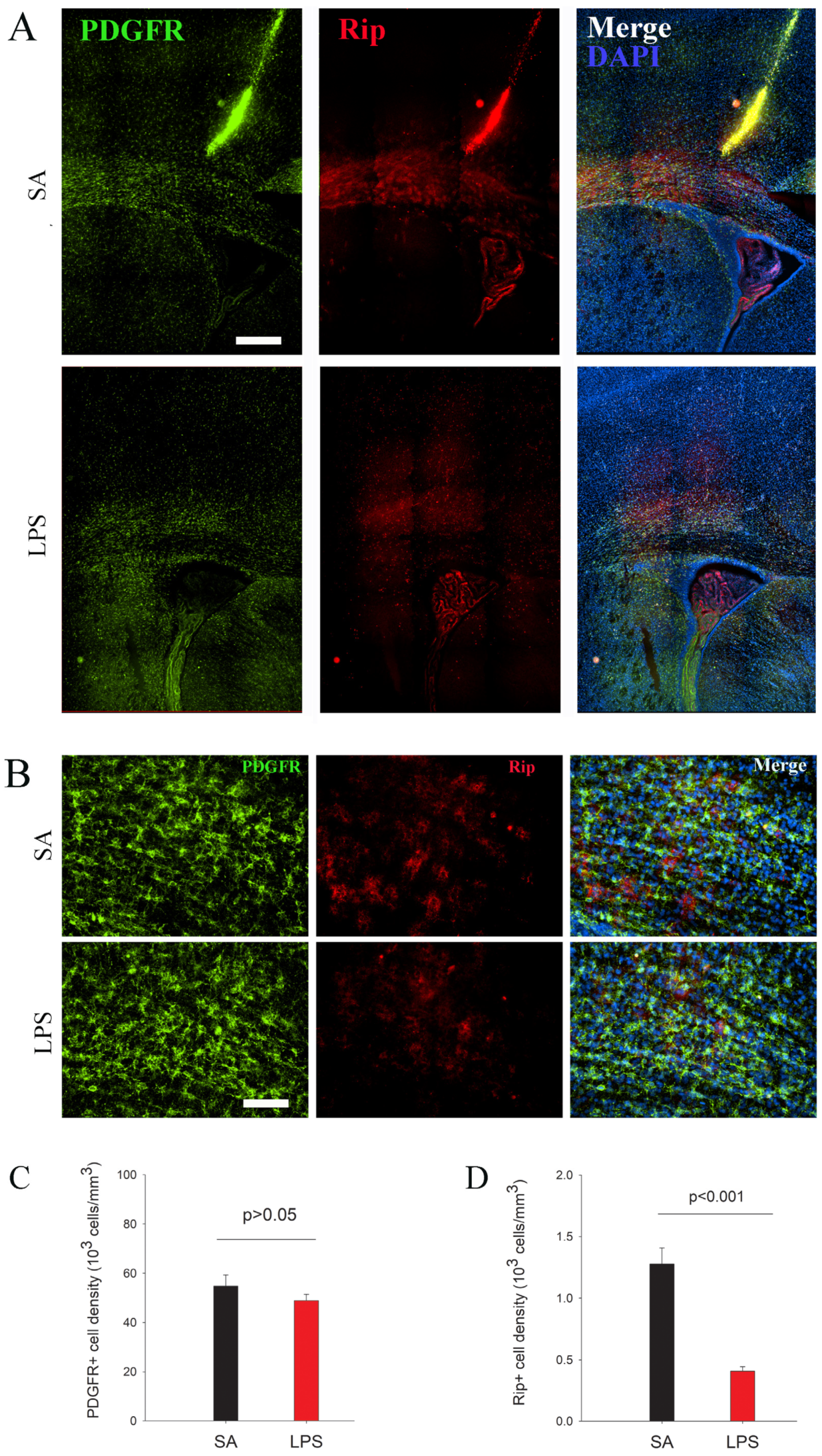 Brainsci 14 00976 g004
