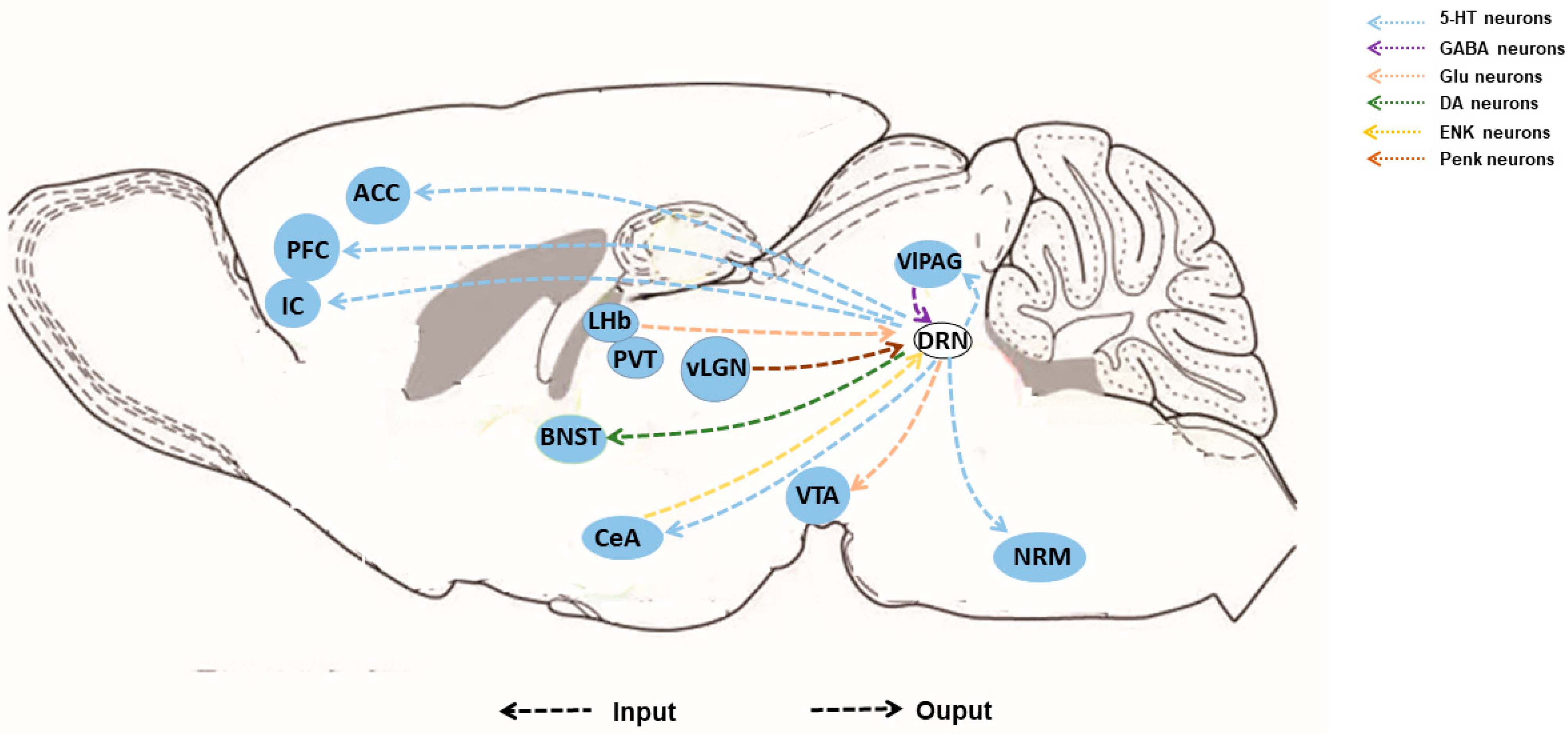 Brainsci 14 00982 g002 Brainsci 14 00982 g002