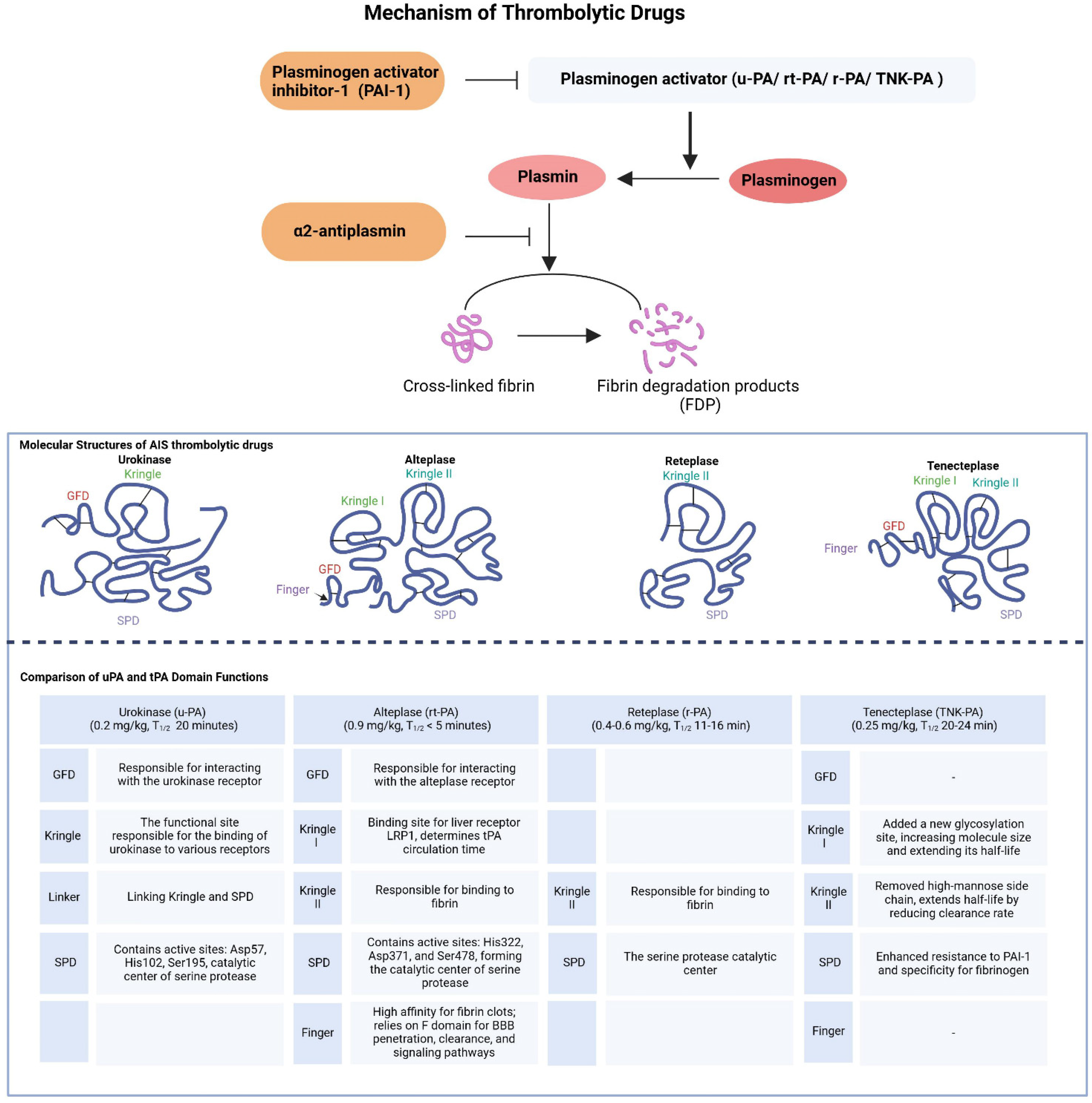 Brainsci 14 00989 g001
