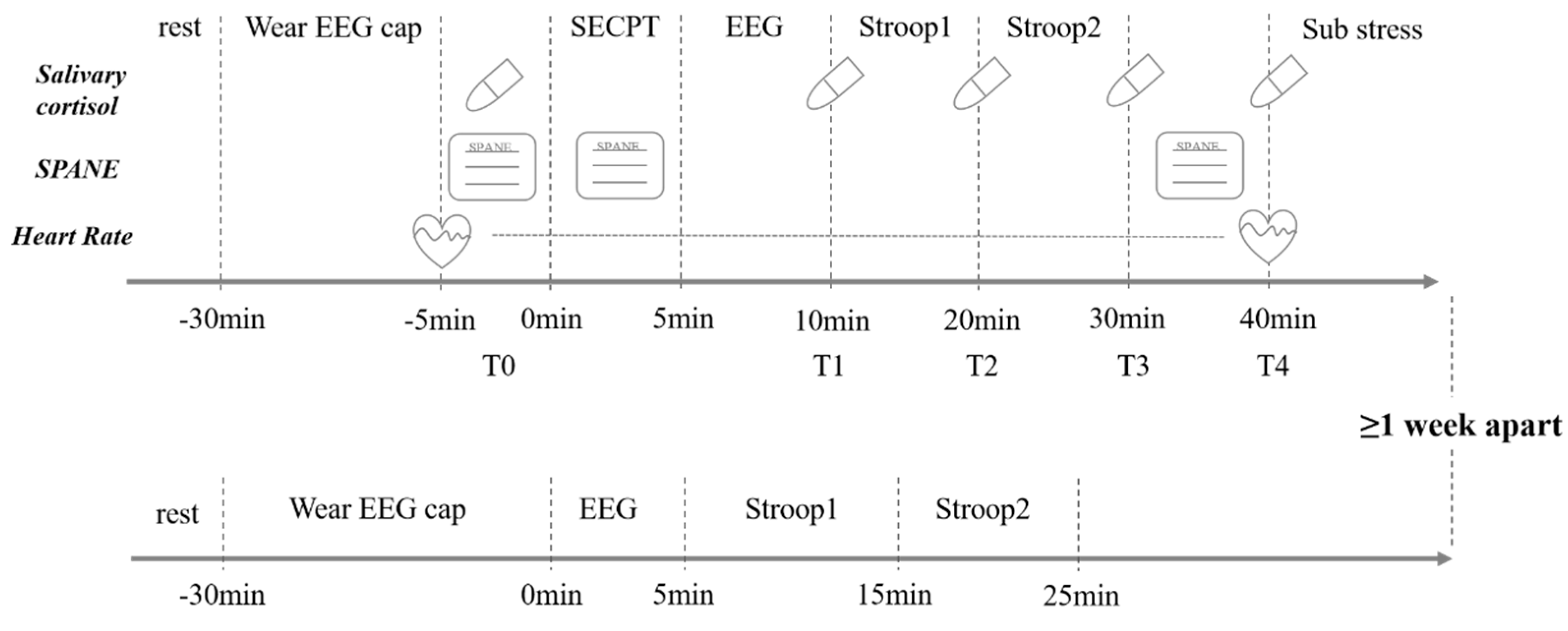 Brainsci 14 01013 g002
