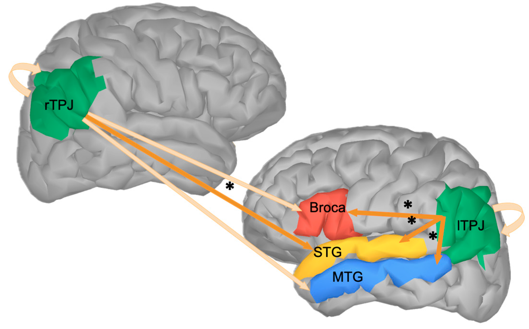 Brainsci 14 01014 g006