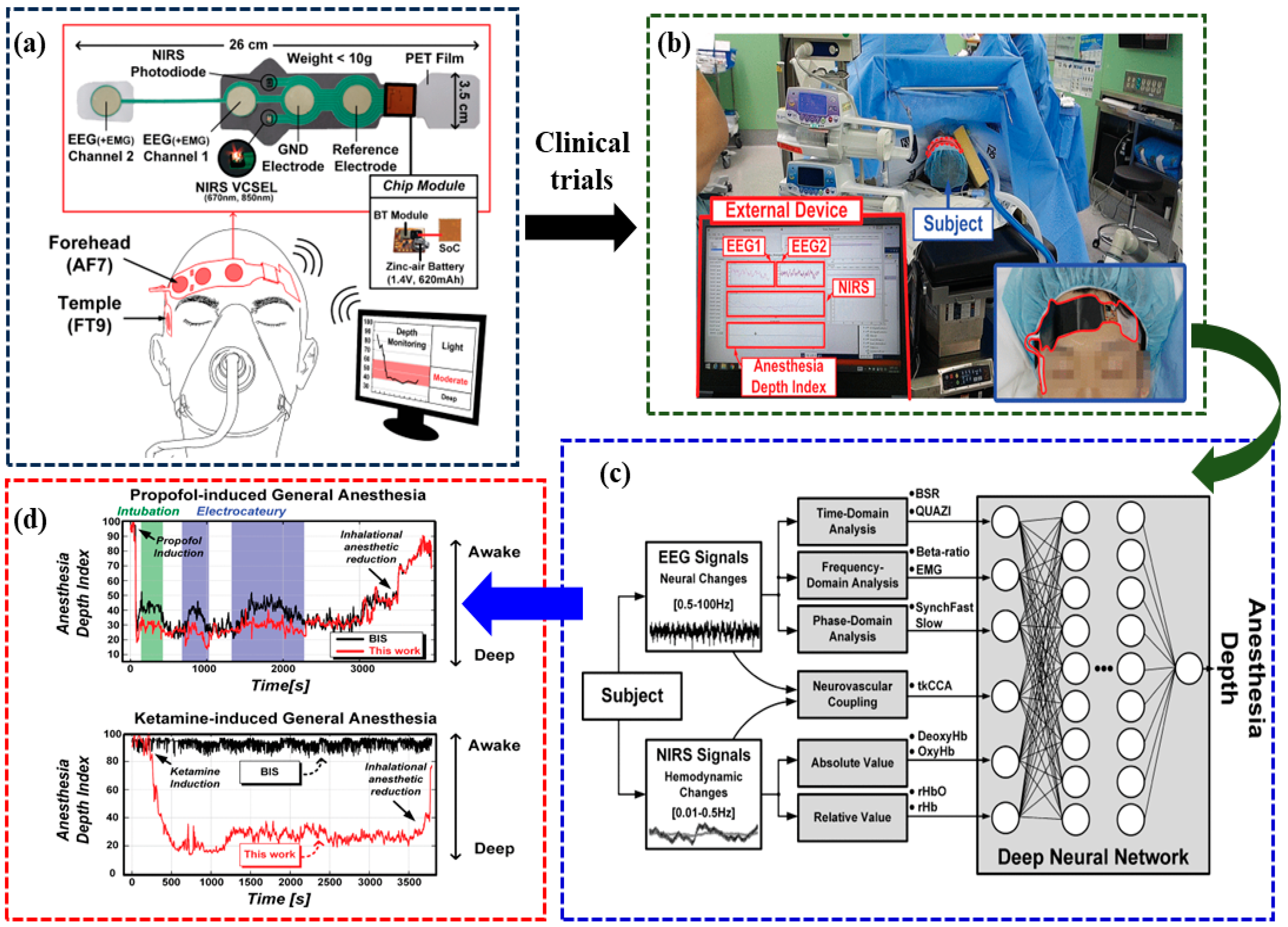 Brainsci 14 01022 g008