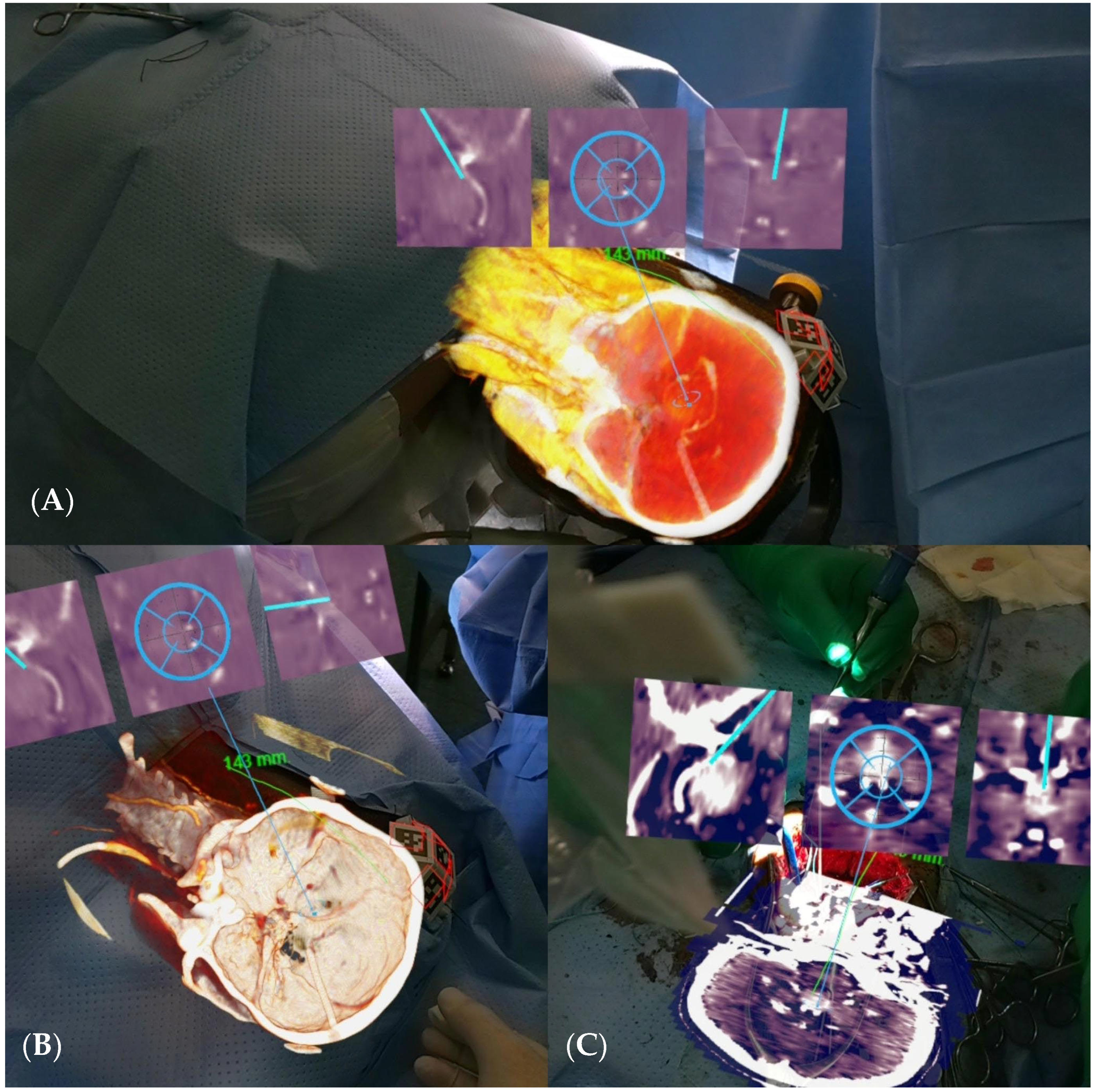 Brainsci 14 01025 g005