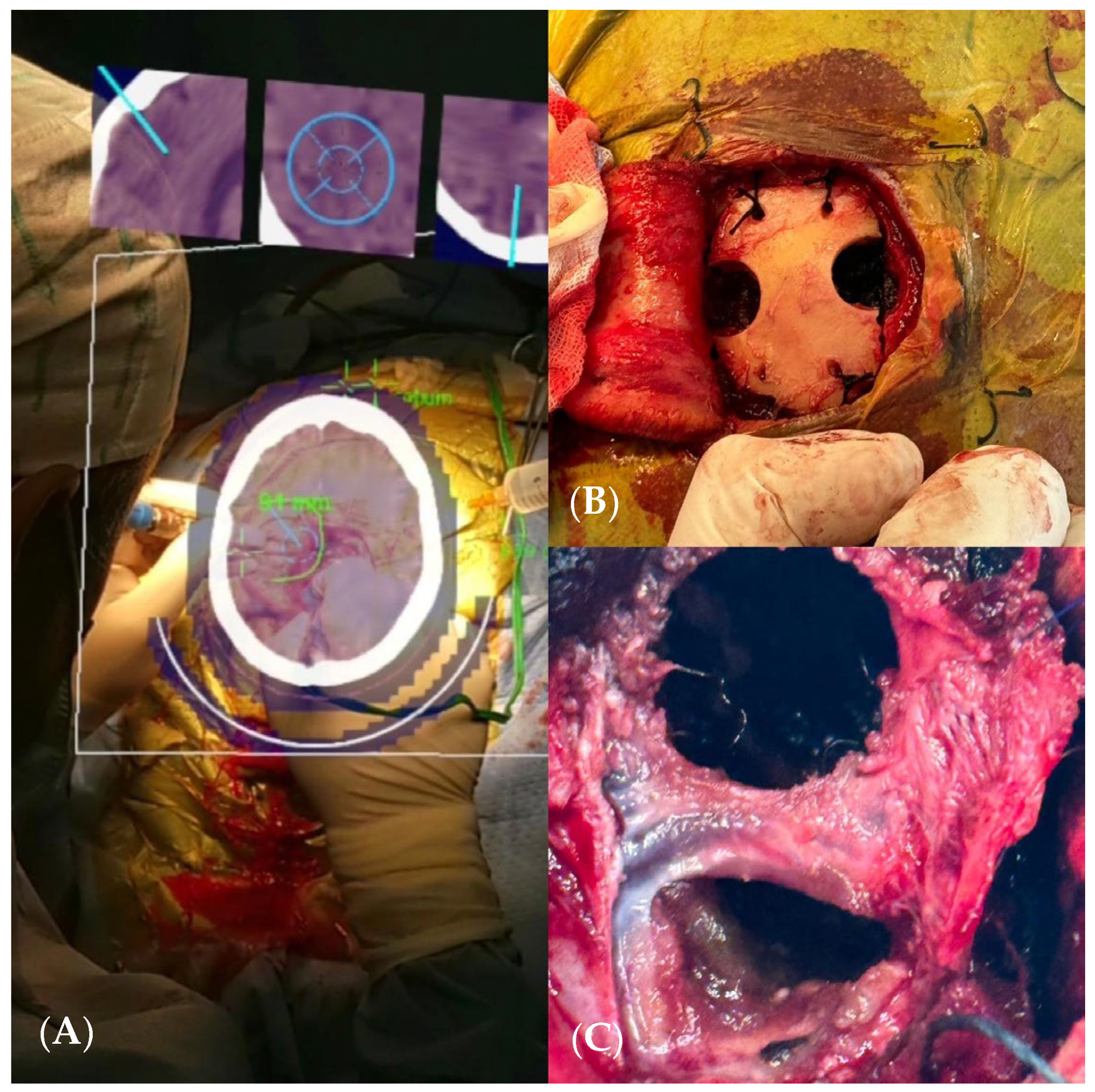 Brainsci 14 01025 g008
