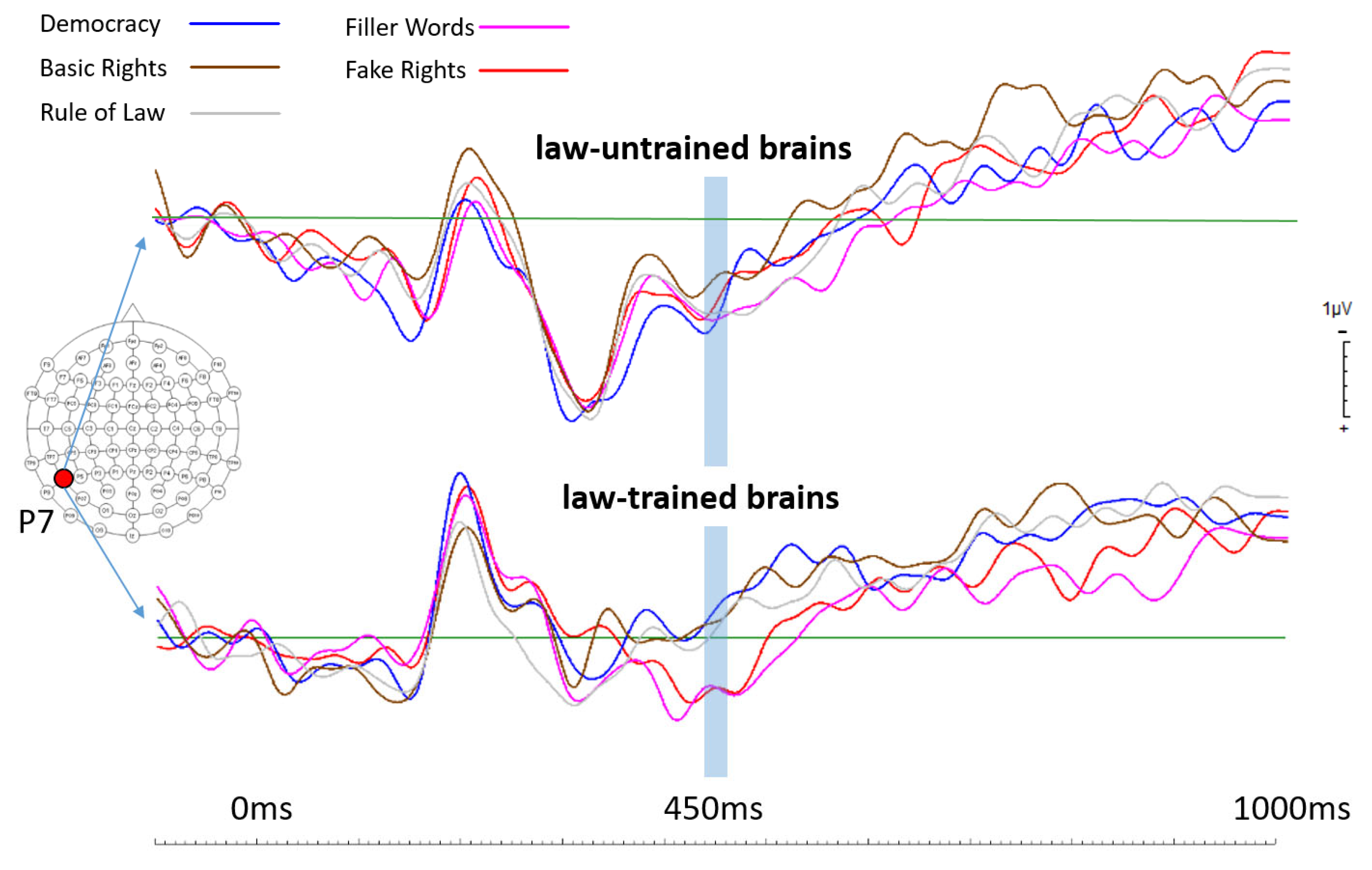 Brainsci 14 01029 g001