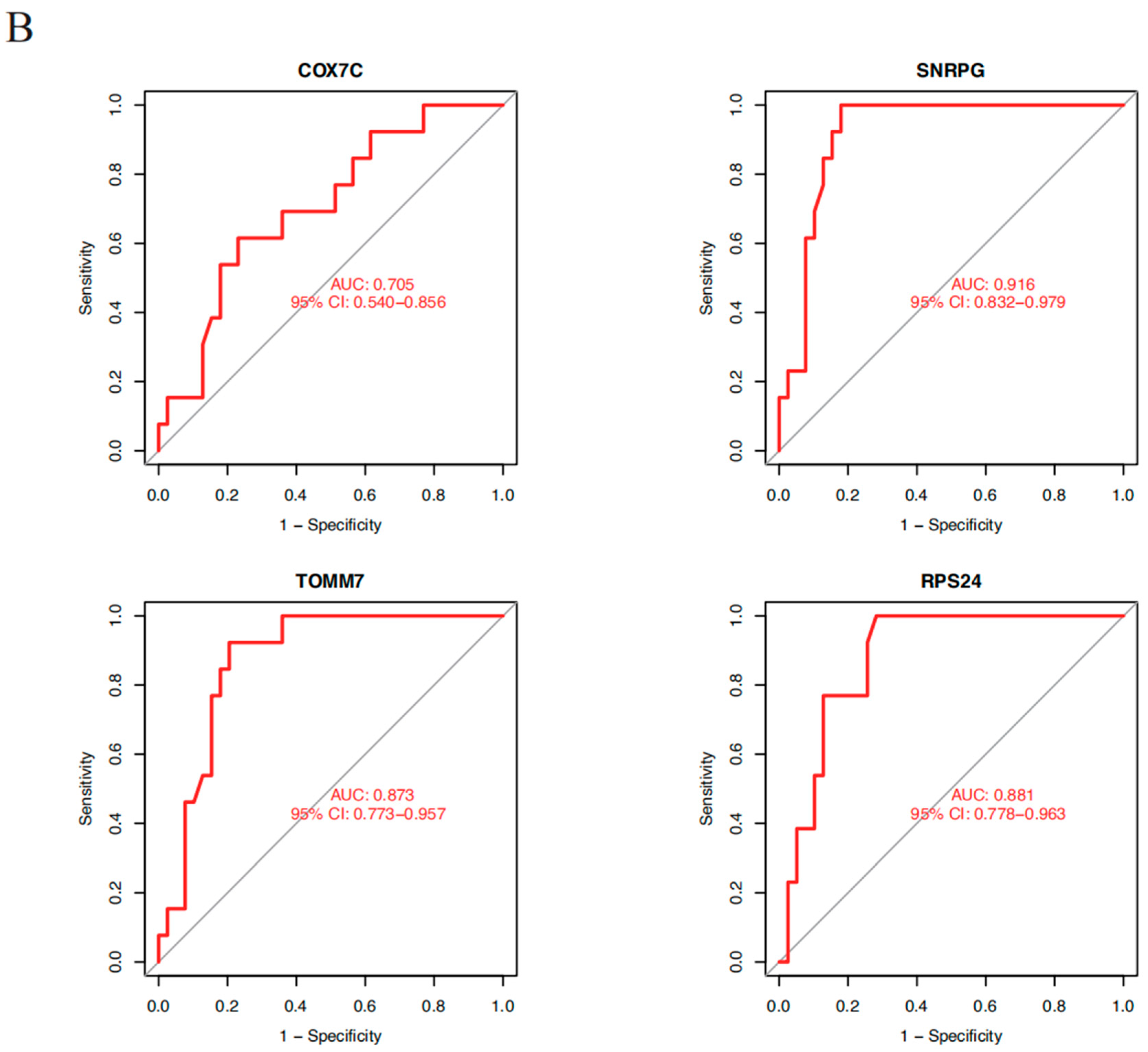 Brainsci 14 01035 g005b
