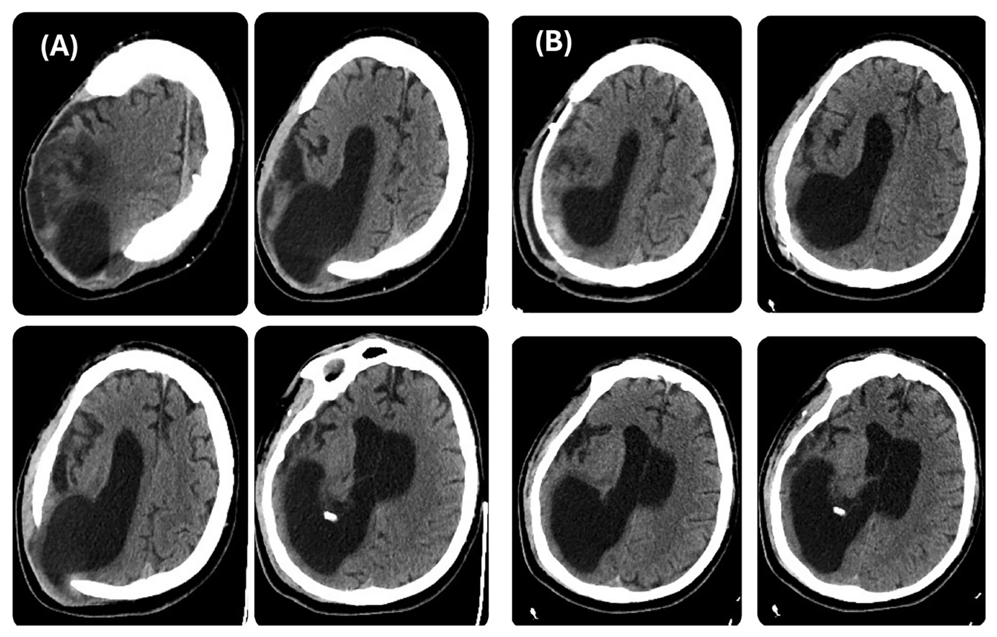 Brainsci 14 01038 g002