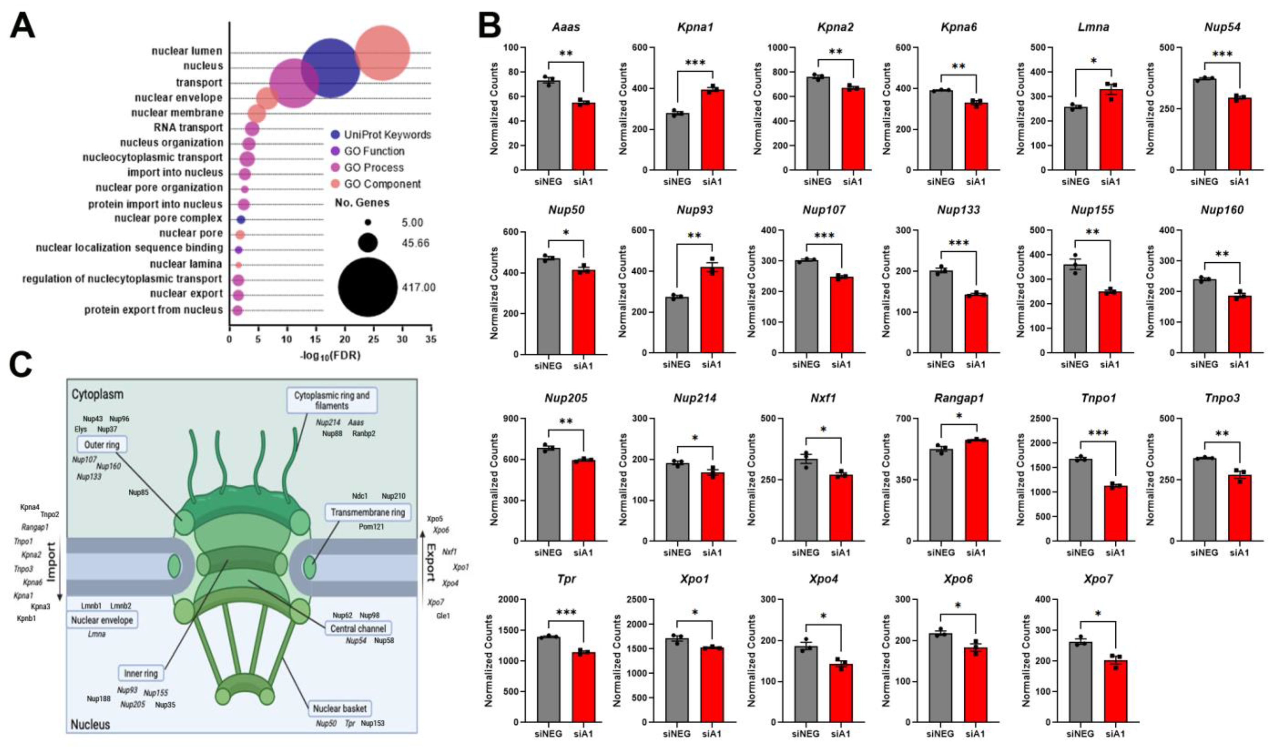 Brainsci 14 01039 g001