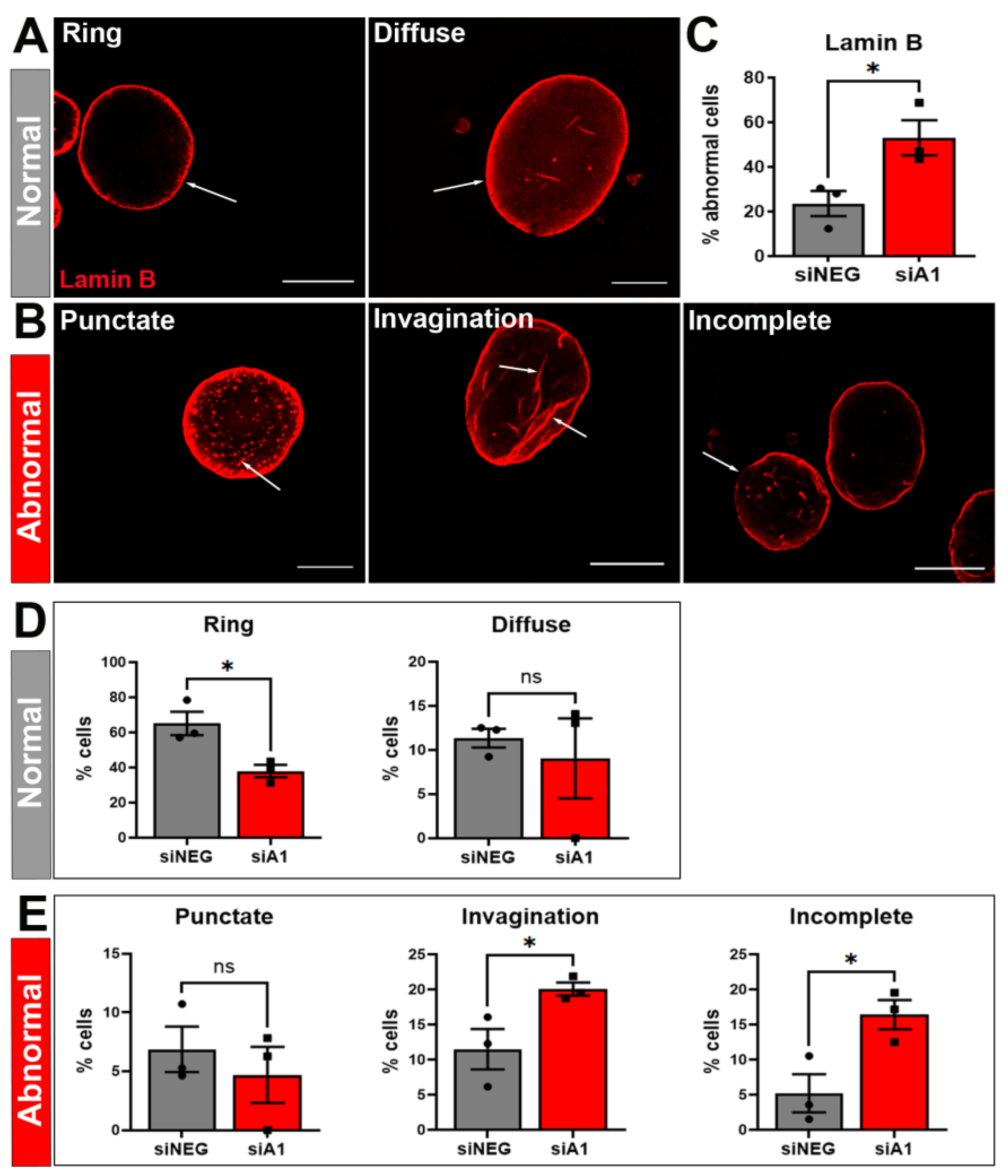 Brainsci 14 01039 g002