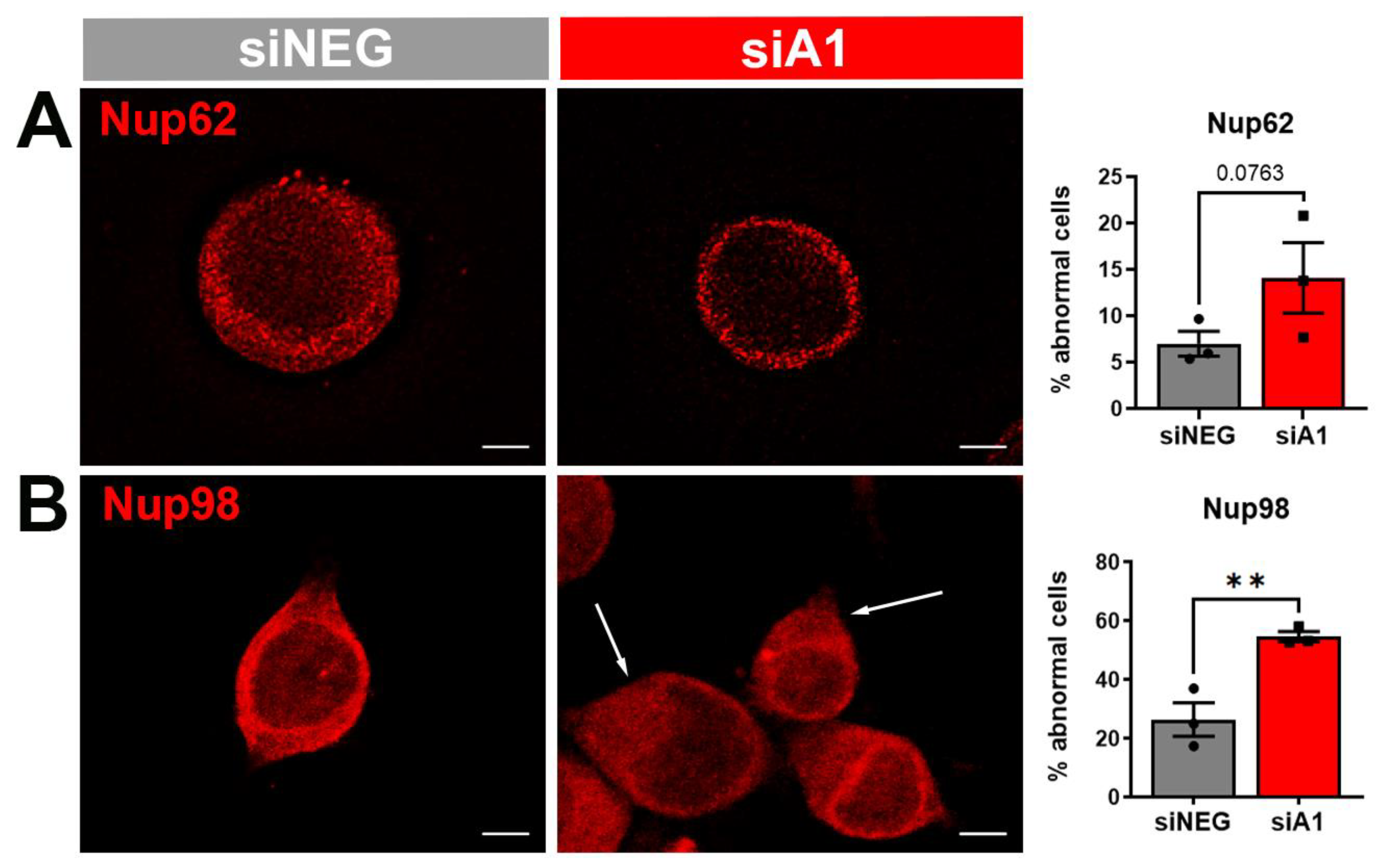 Brainsci 14 01039 g005a