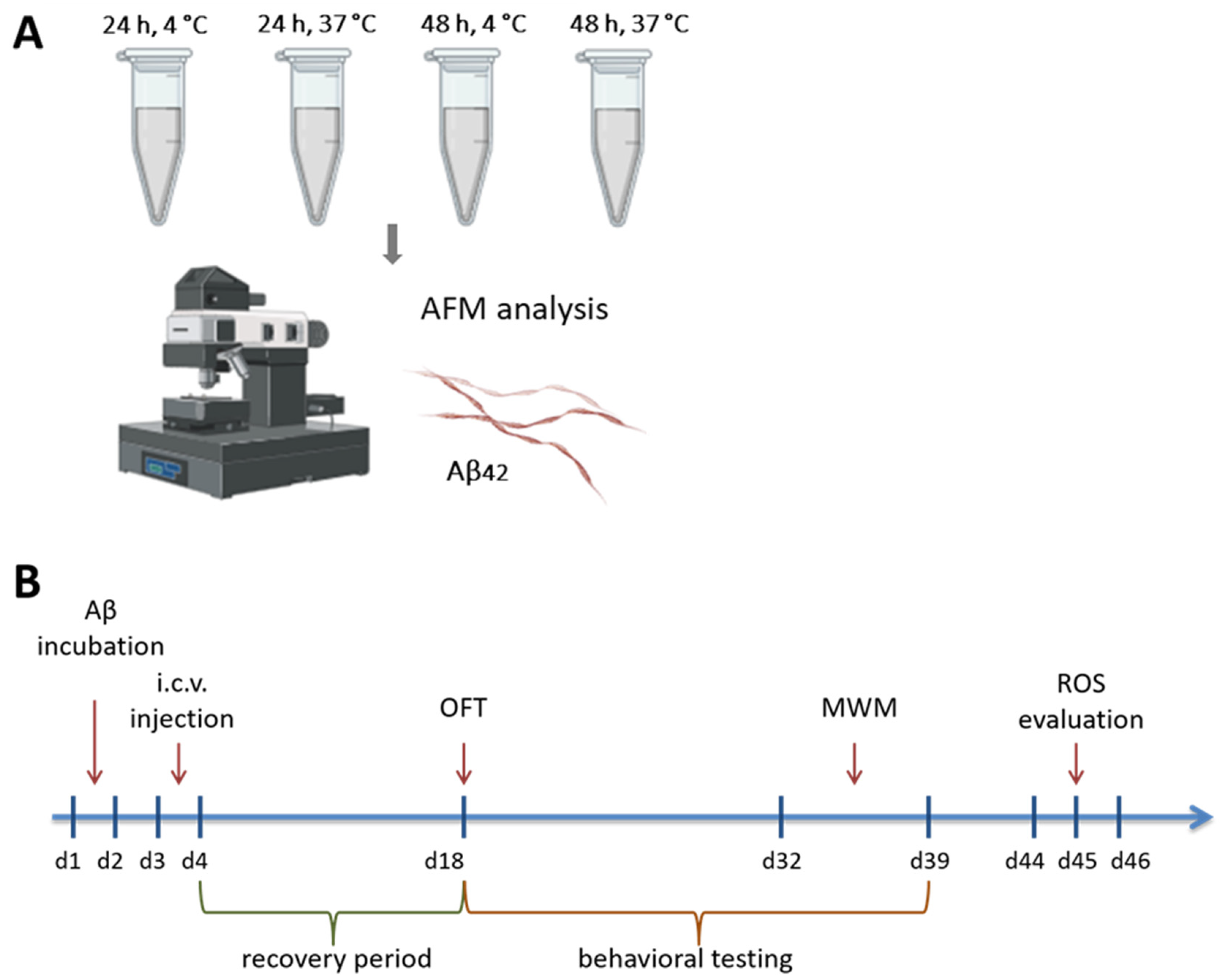 Brainsci 14 01042 g001