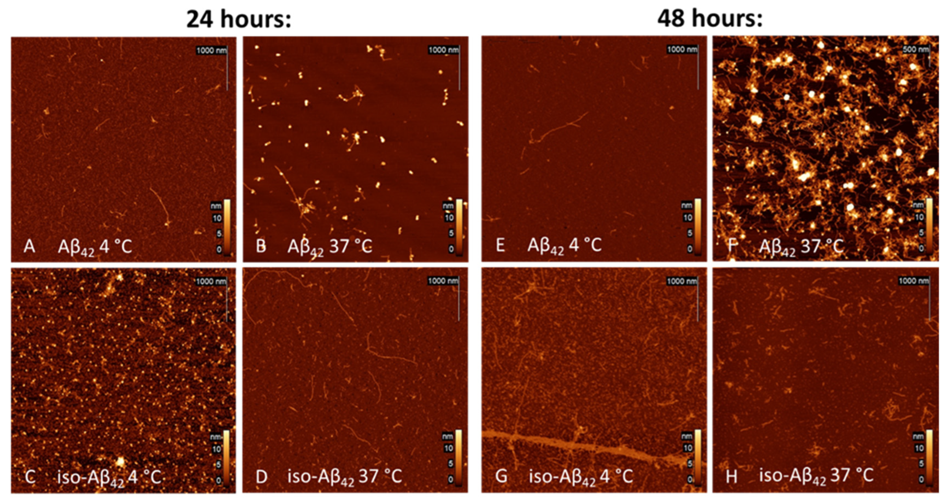 Brainsci 14 01042 g002