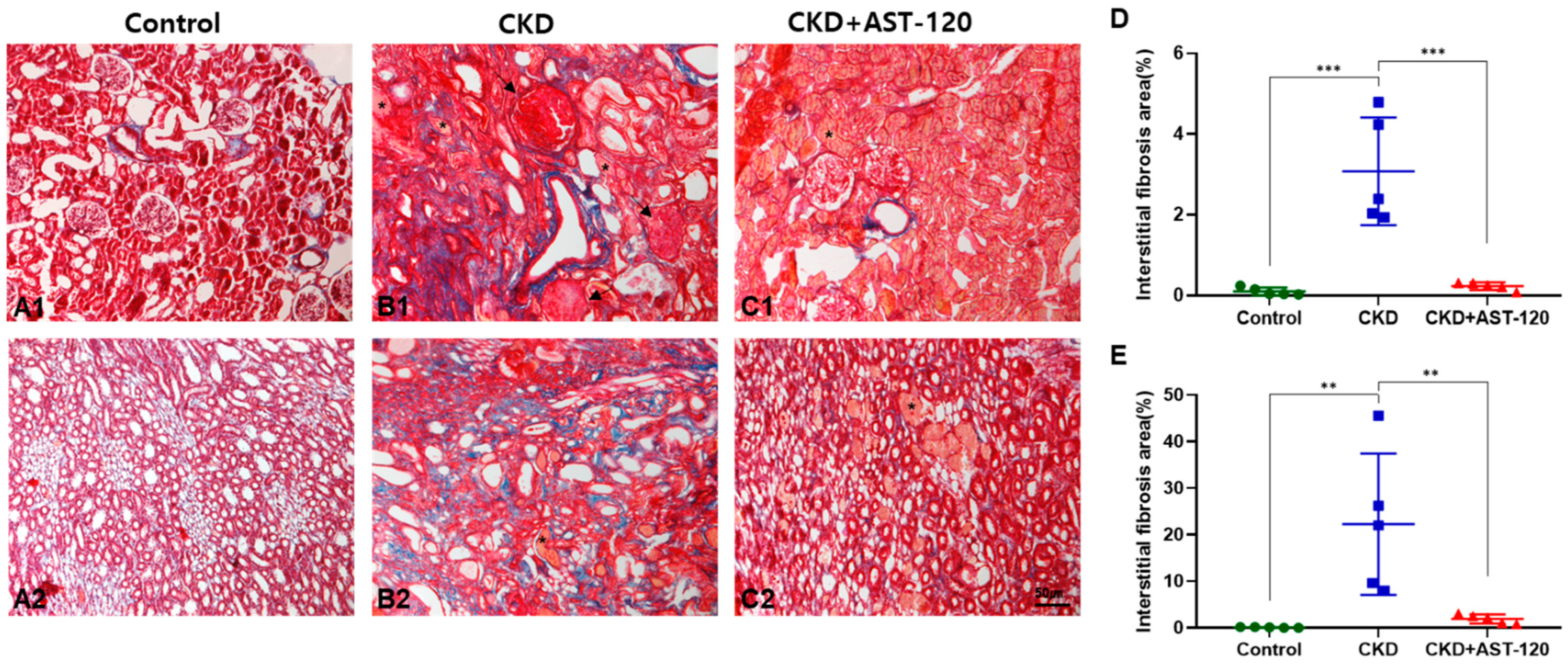 Brainsci 14 01043 g002