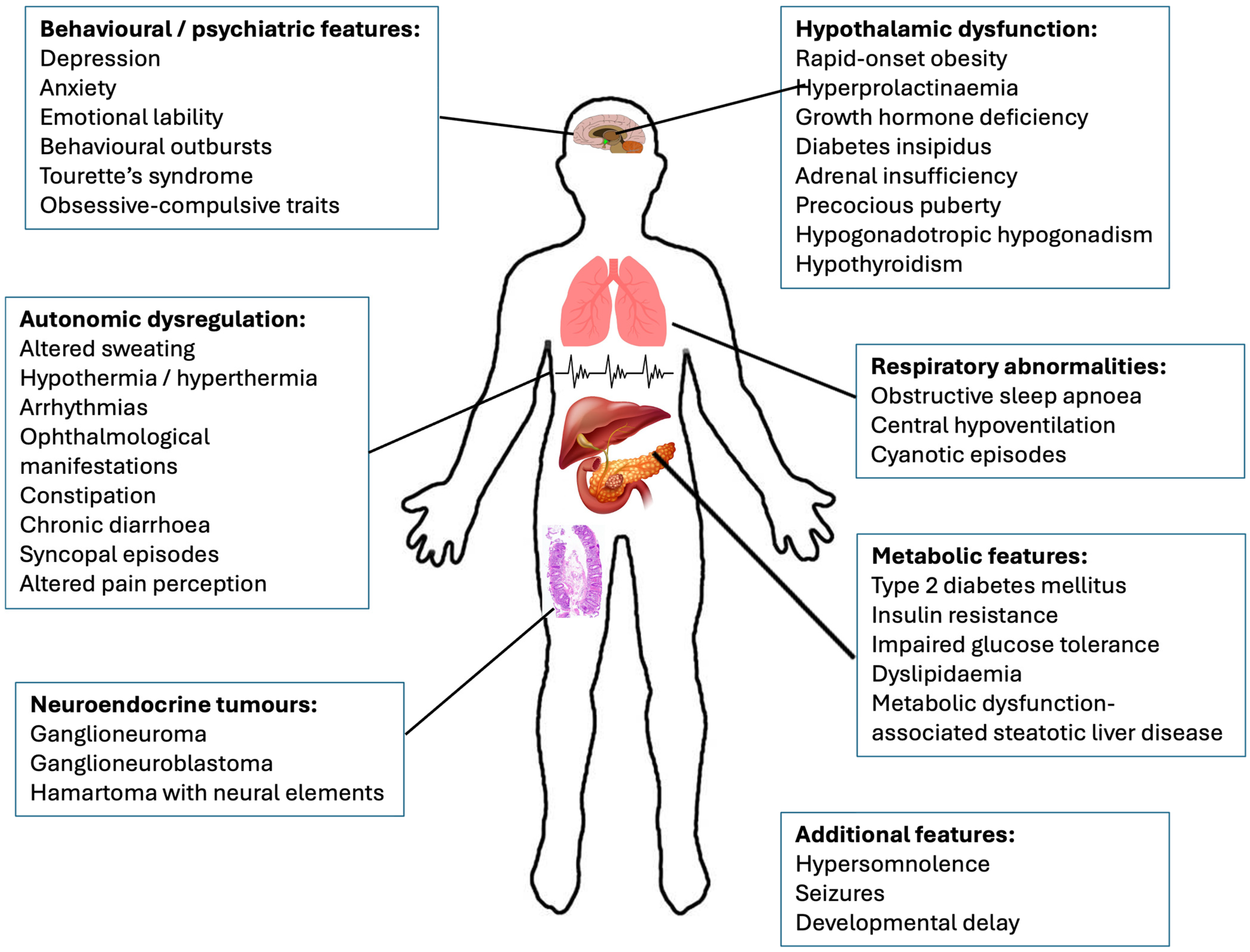 Brainsci 14 01046 g001