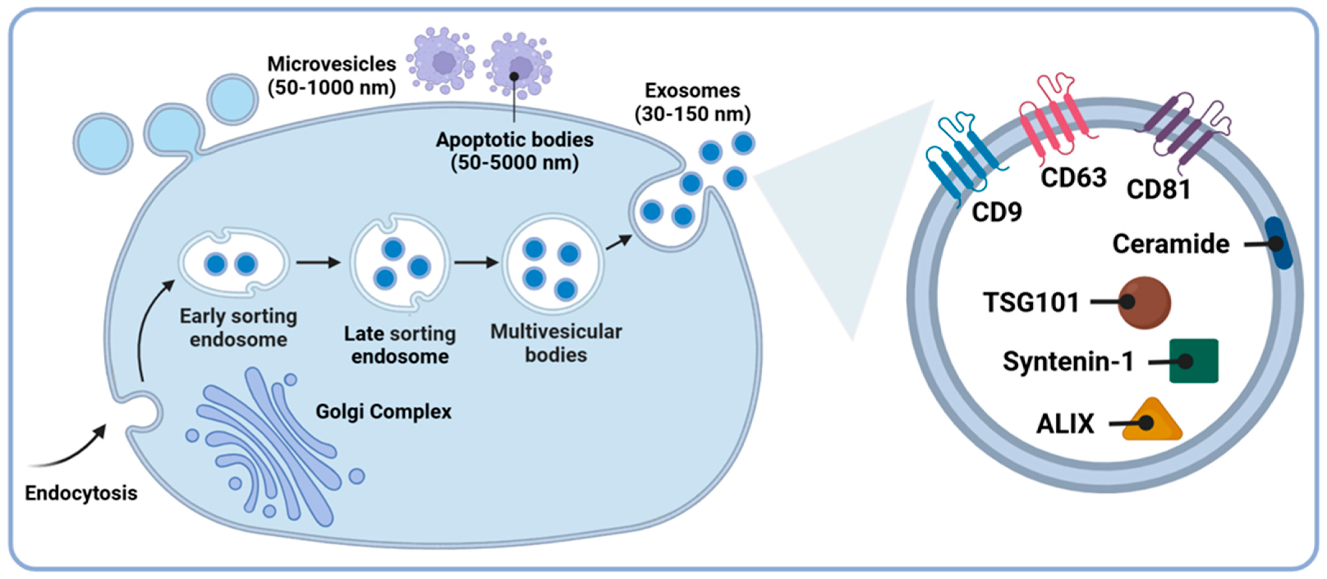 Brainsci 14 01049 g001 Brainsci 14 01049 g001