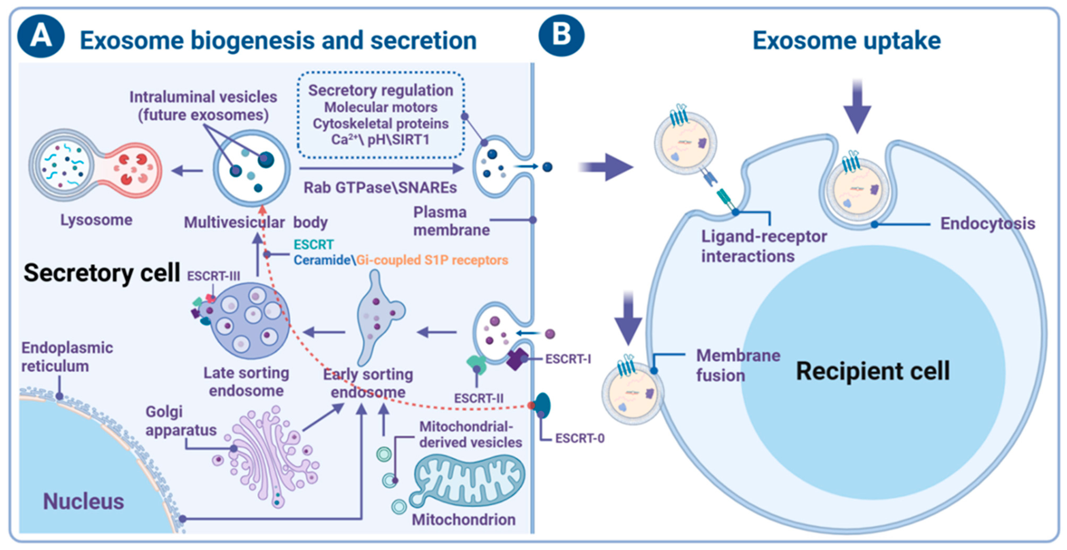 Brainsci 14 01049 g002 Brainsci 14 01049 g002