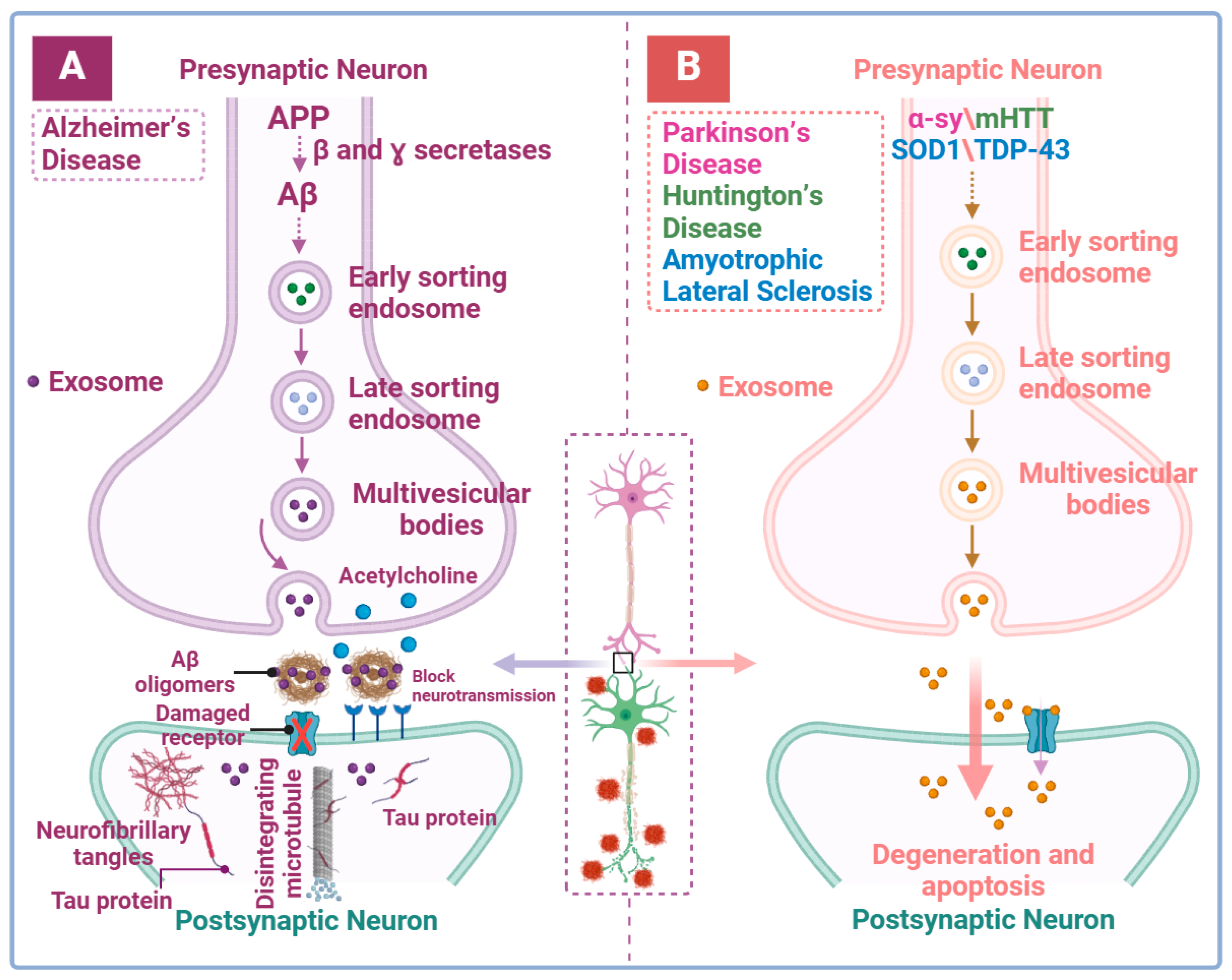 Brainsci 14 01049 g004 Brainsci 14 01049 g004