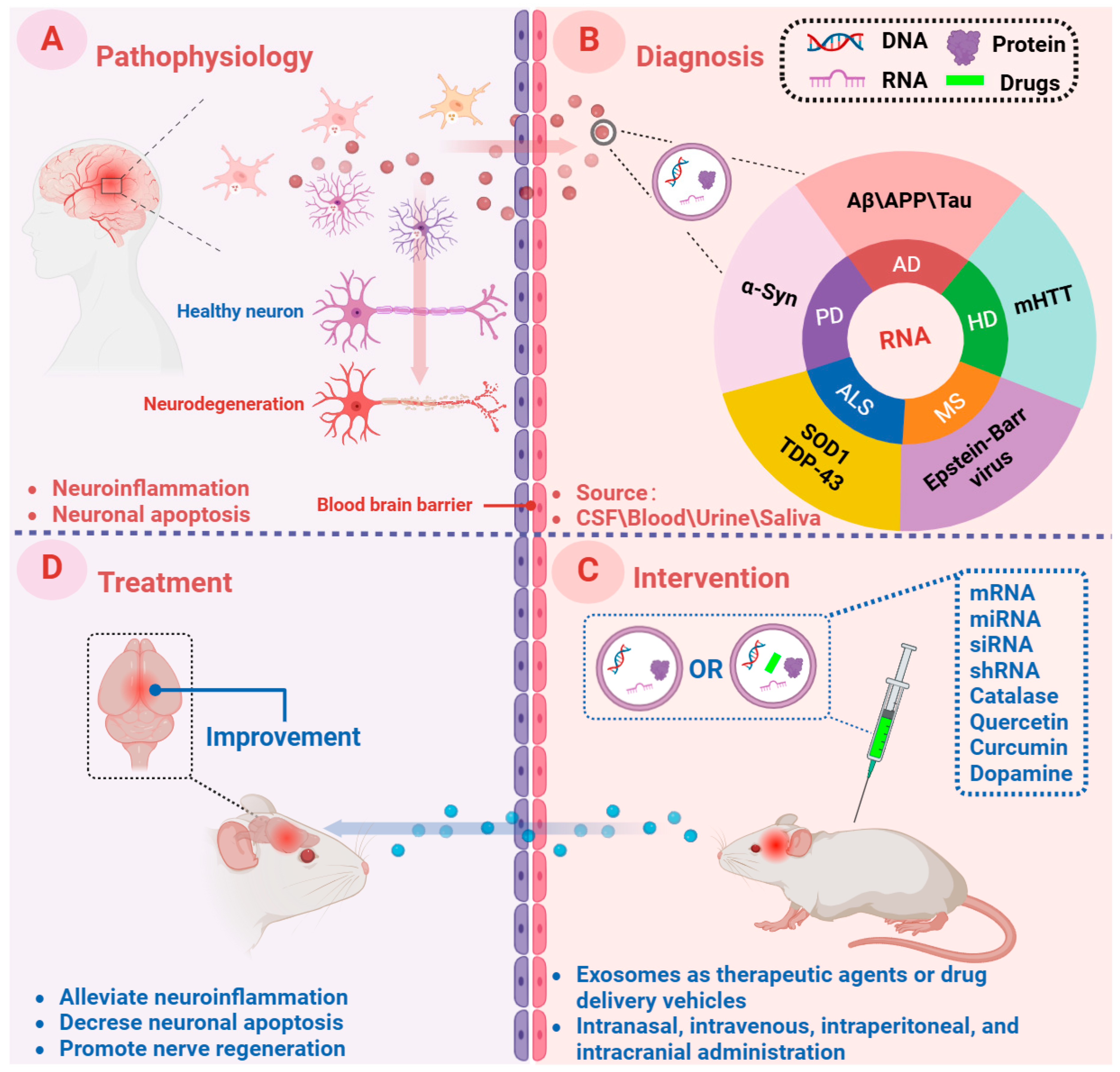 Brainsci 14 01049 g005 Brainsci 14 01049 g005