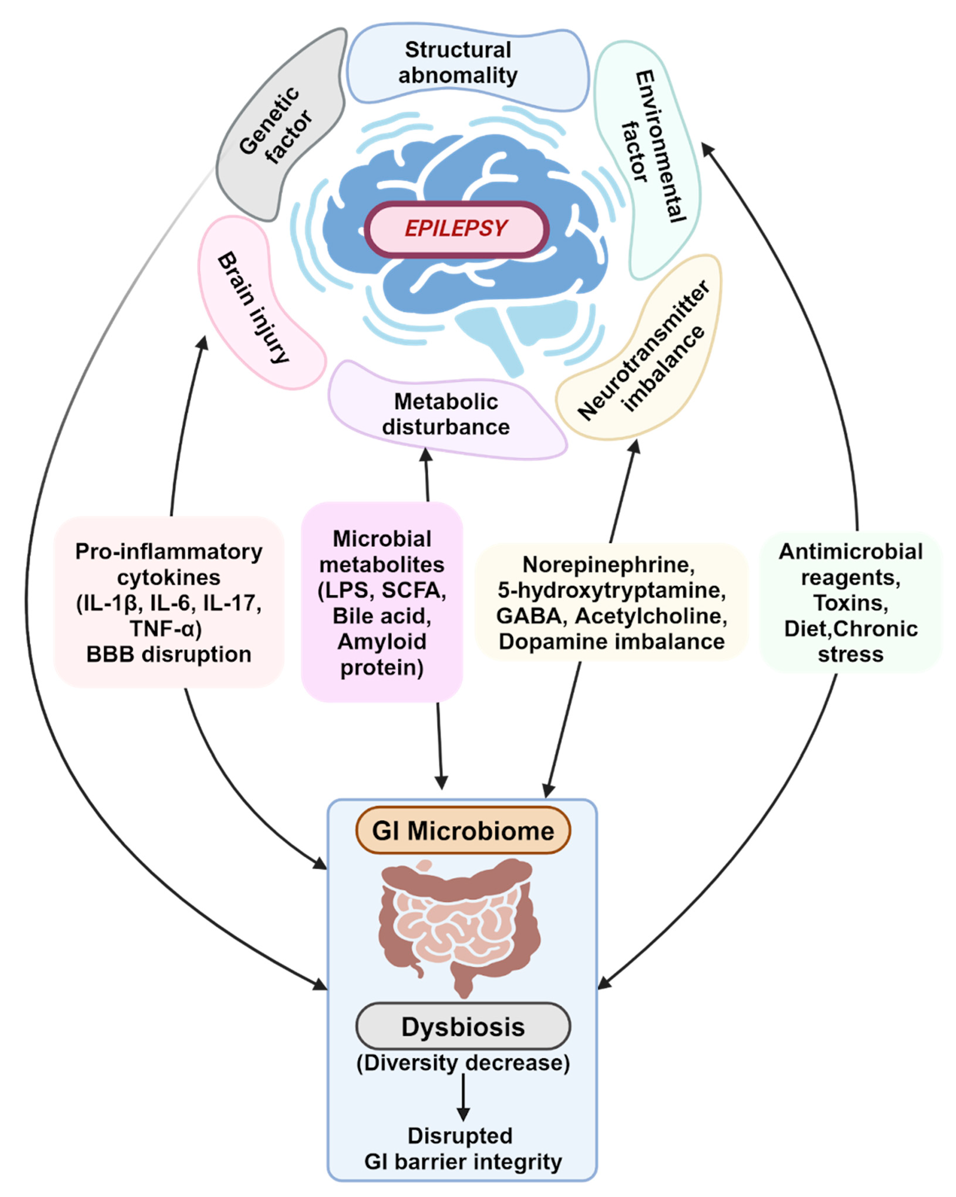 Brainsci 14 01051 g001