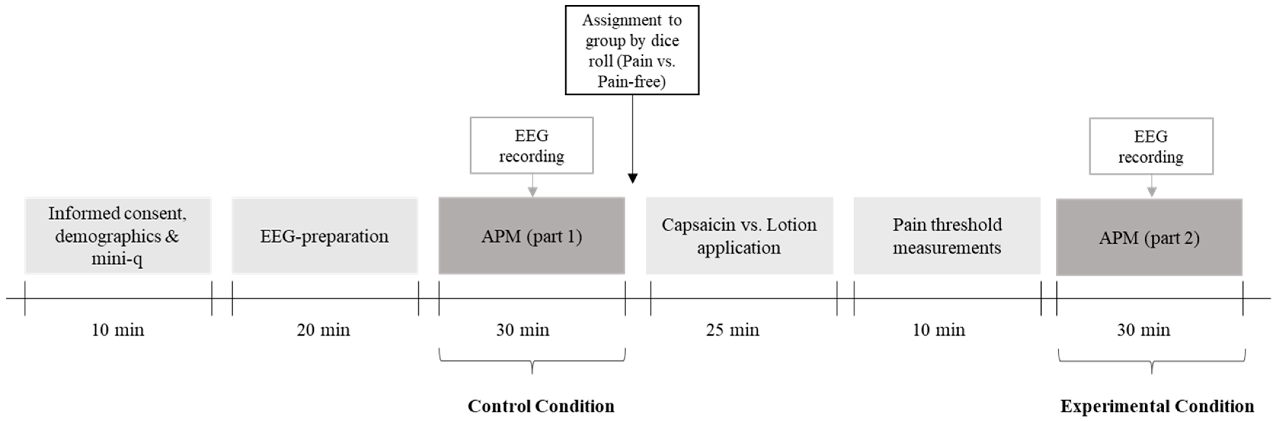 Brainsci 14 01061 g001