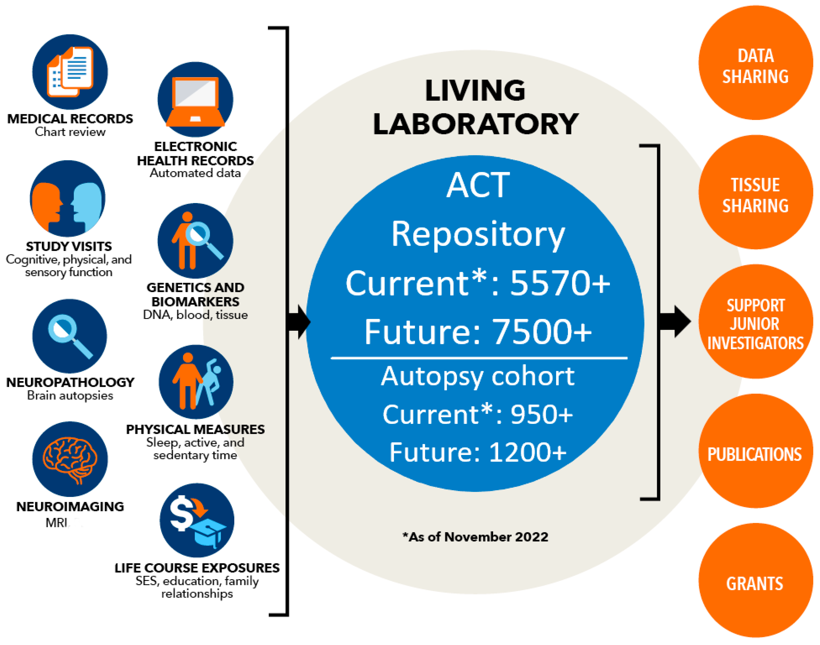 Brainsci 14 01075 g001 Brainsci 14 01075 g001