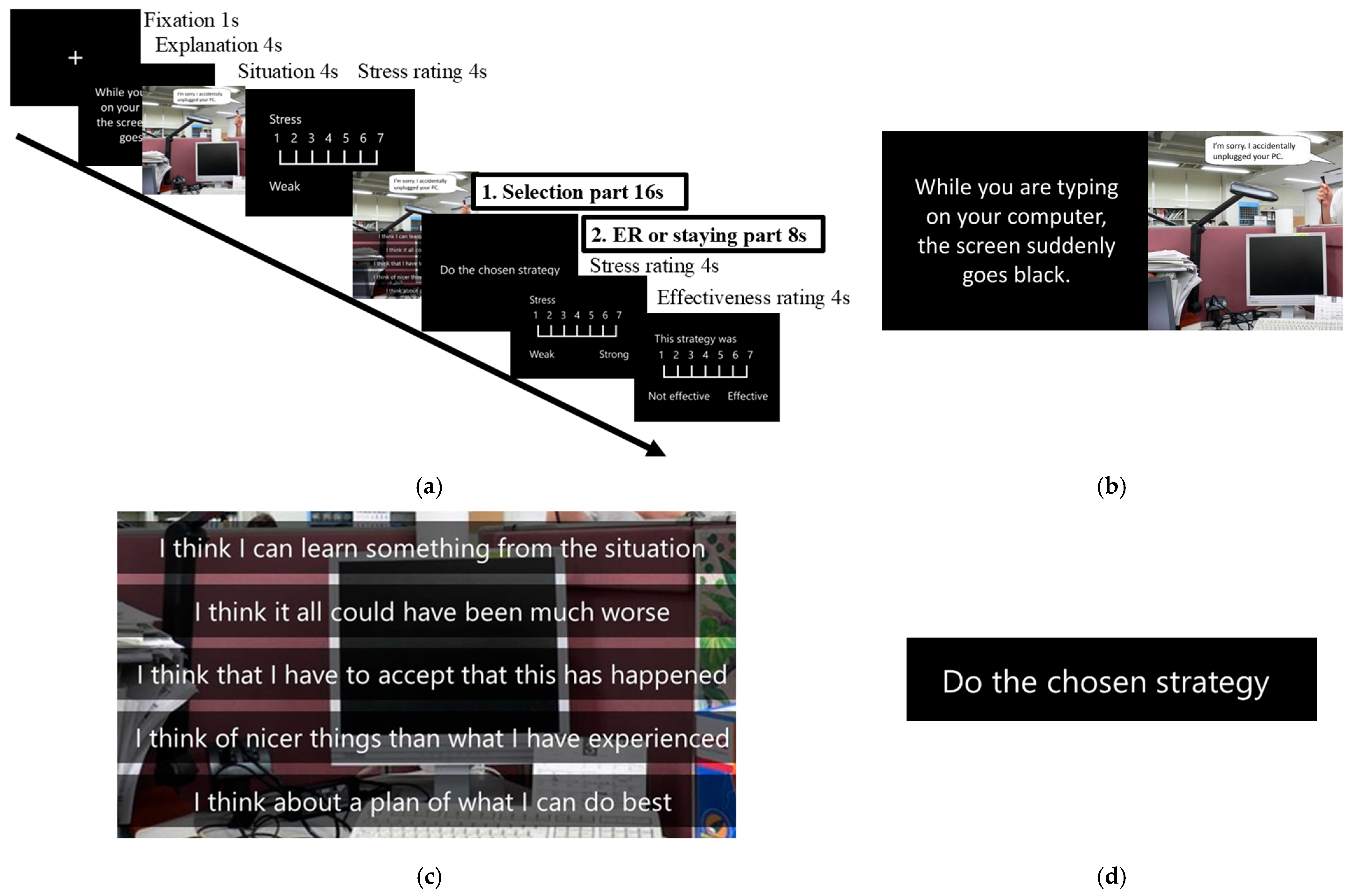 Brainsci 14 01077 g001