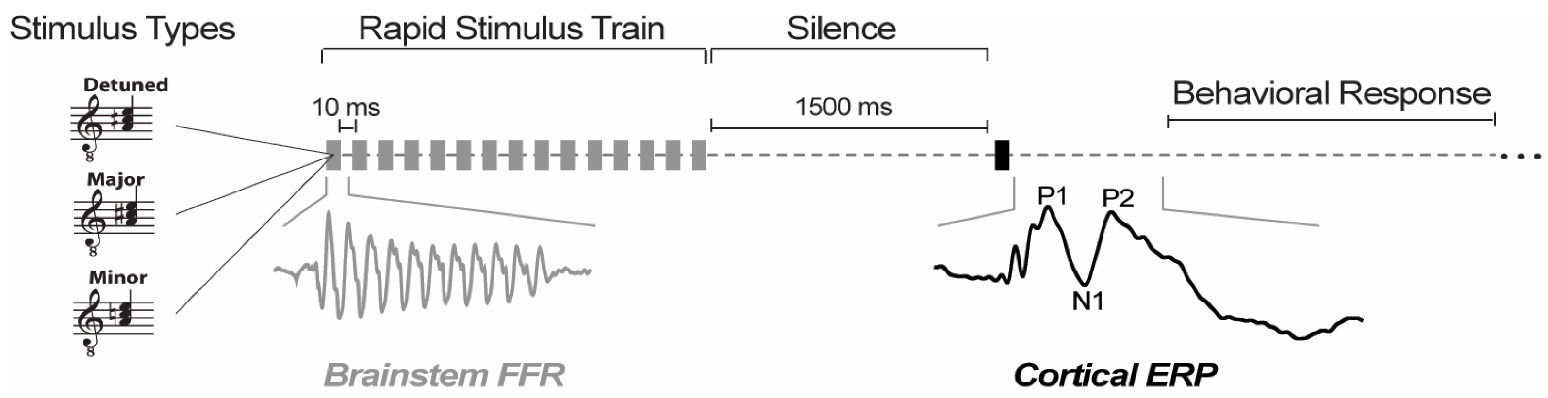 Brainsci 14 01079 g001