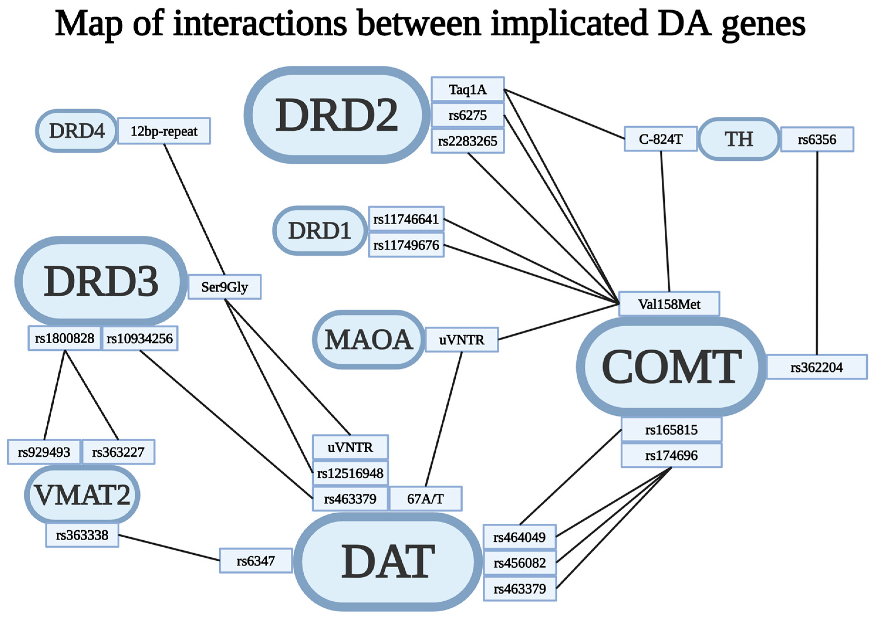 Brainsci 14 01089 g006 Brainsci 14 01089 g006
