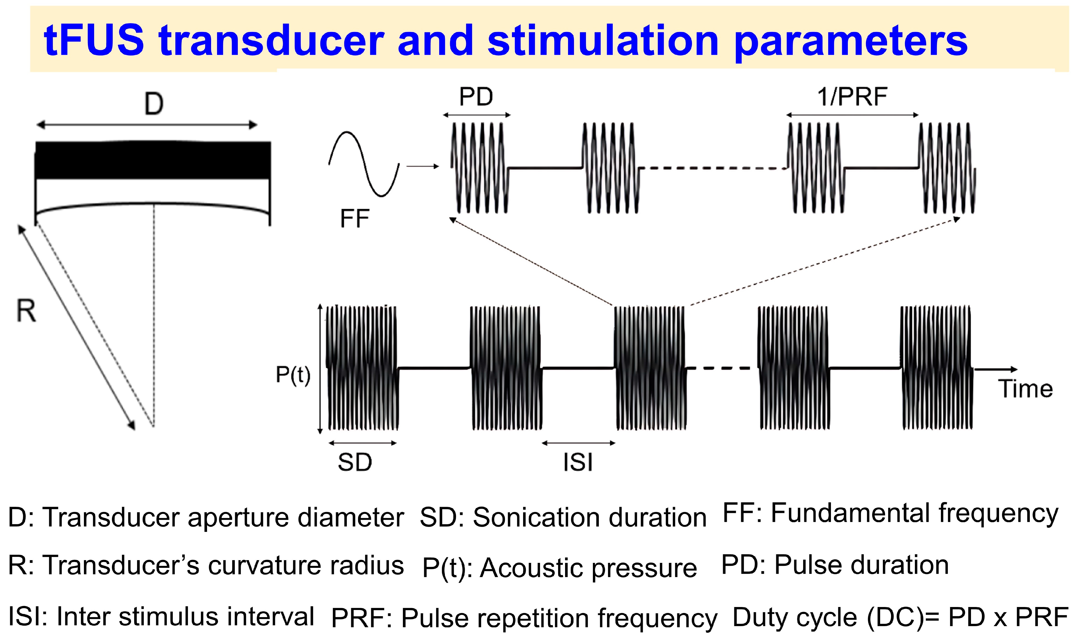 Brainsci 14 01095 g002