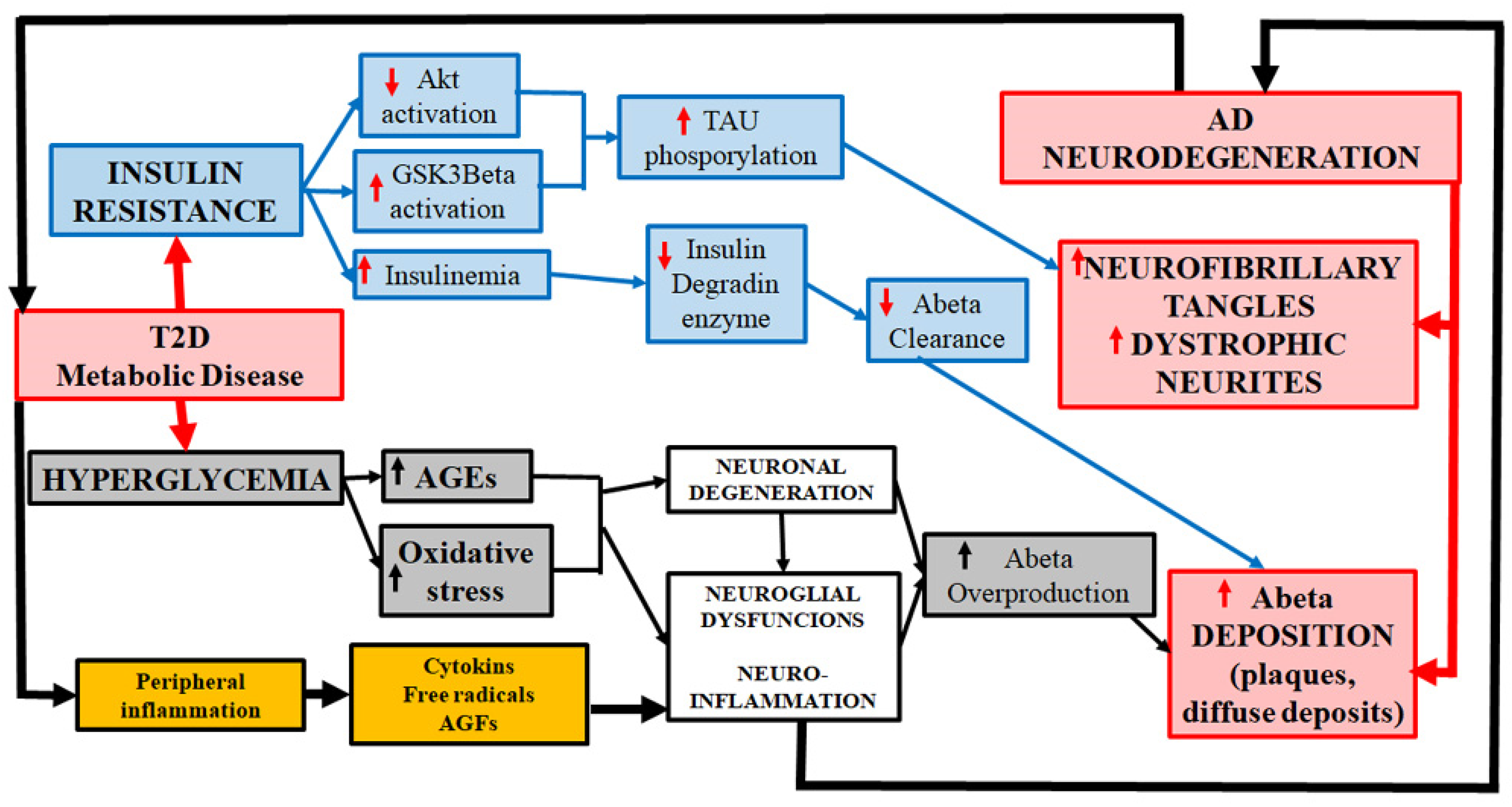 Brainsci 14 01101 g001