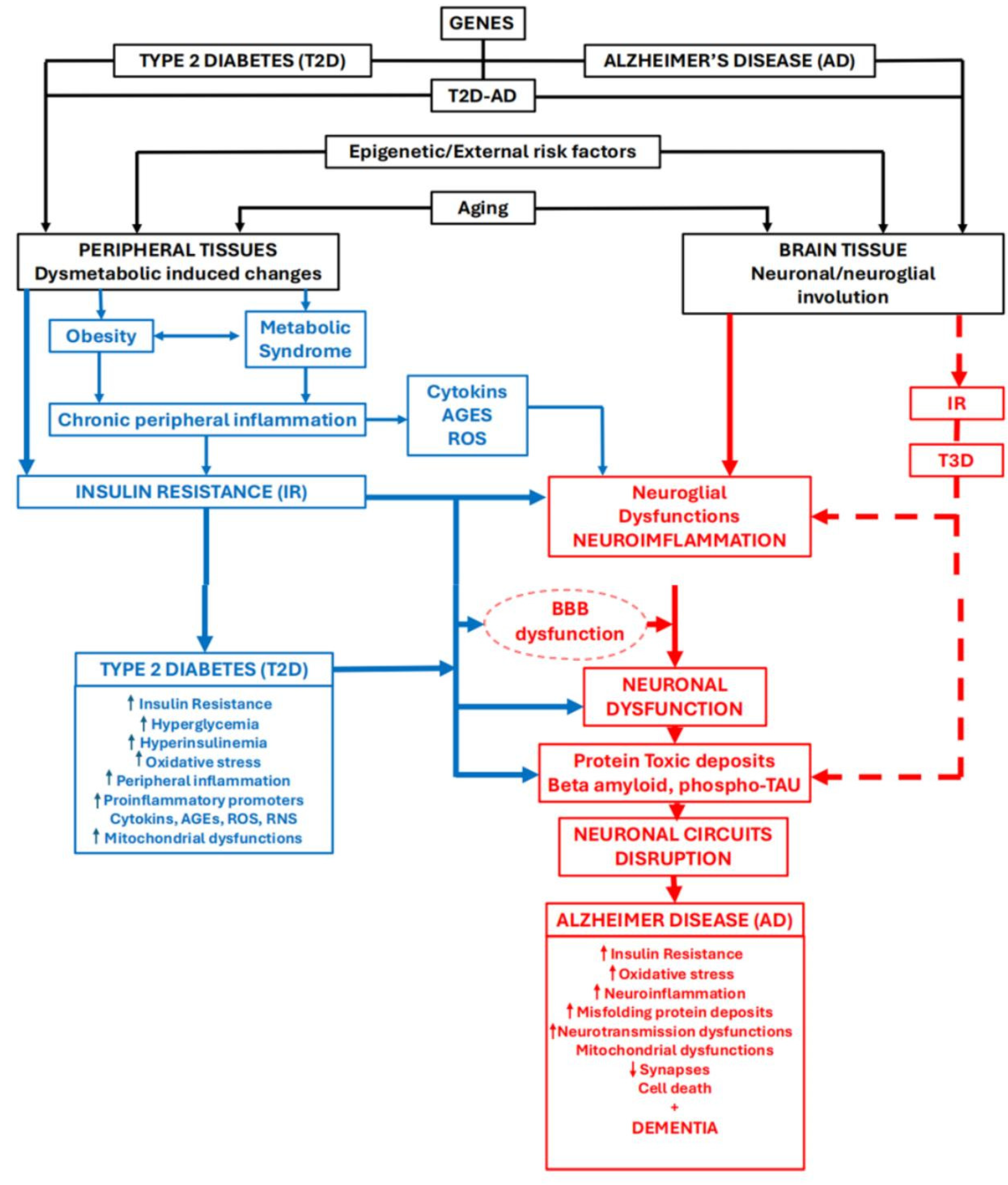 Brainsci 14 01101 g015