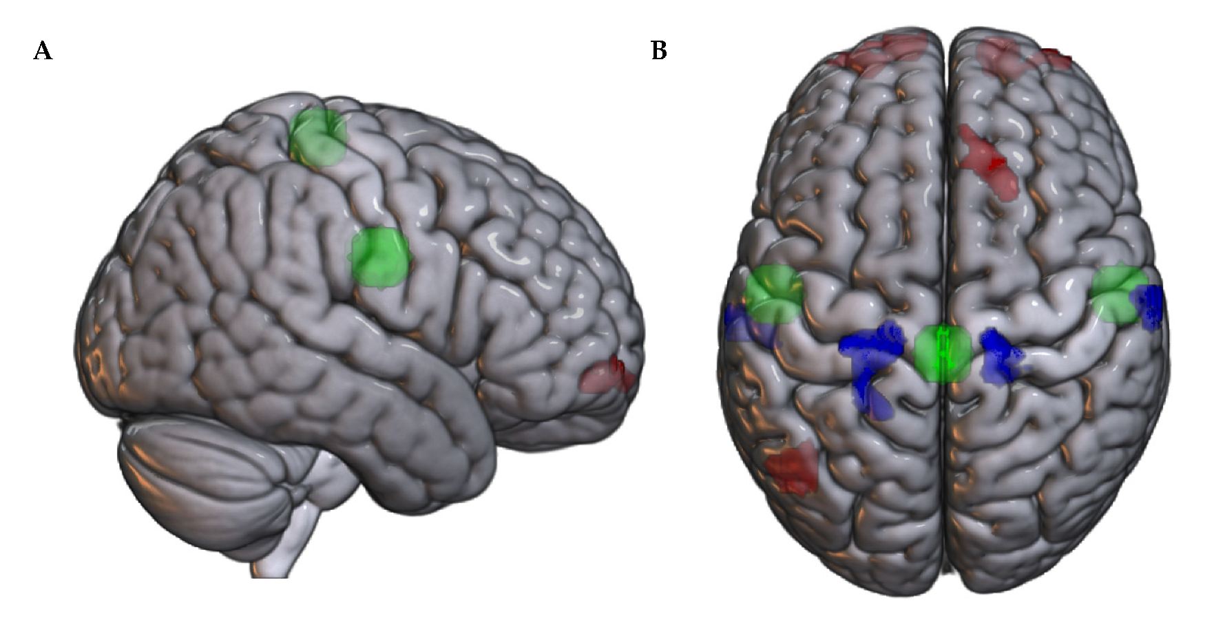Brainsci 14 01102 g002