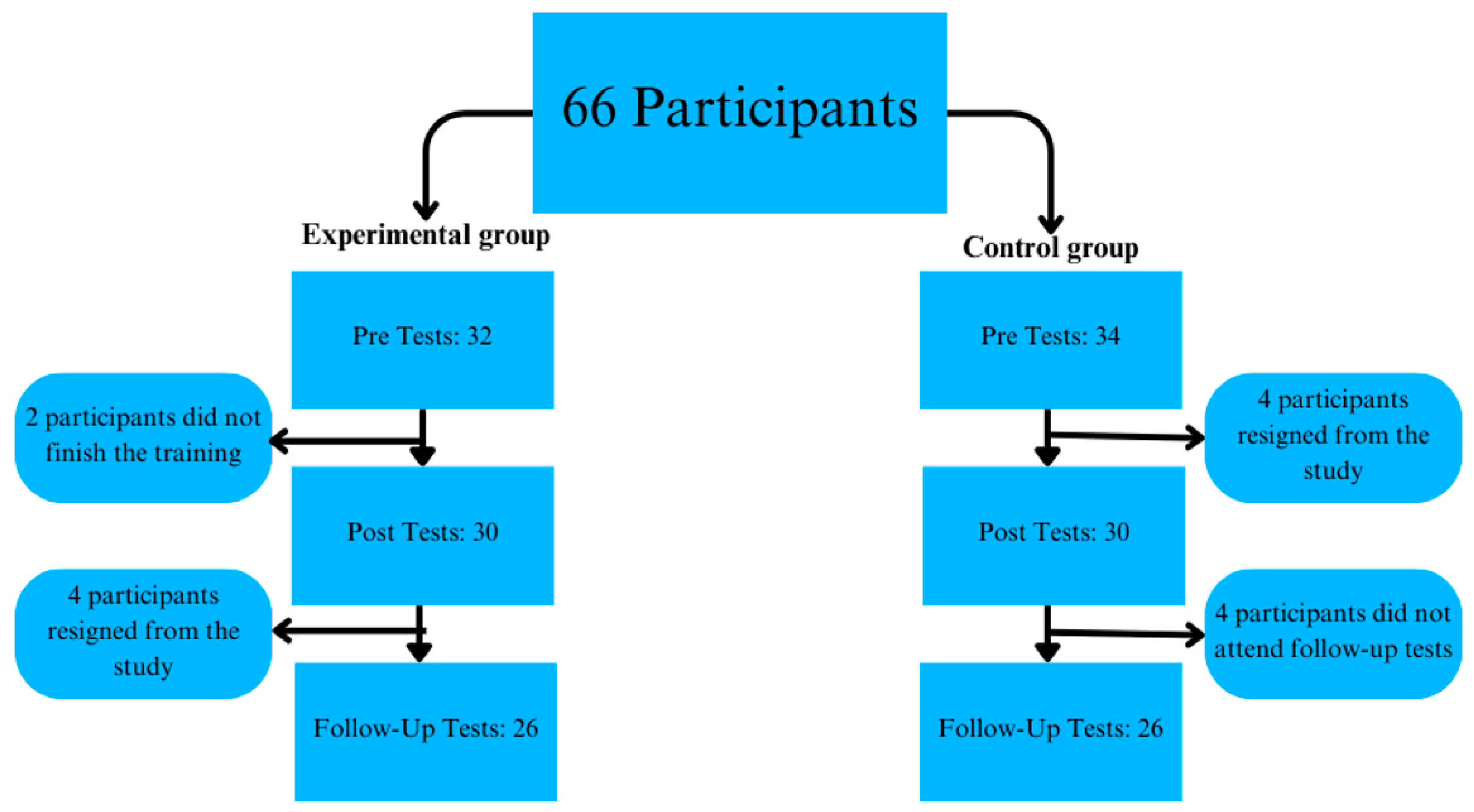 Brainsci 14 01104 g001