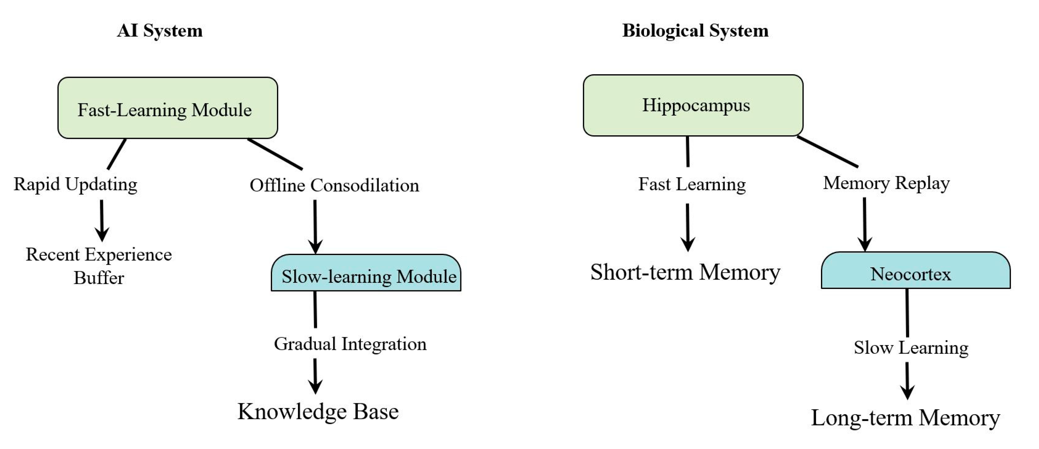 Brainsci 14 01111 g002