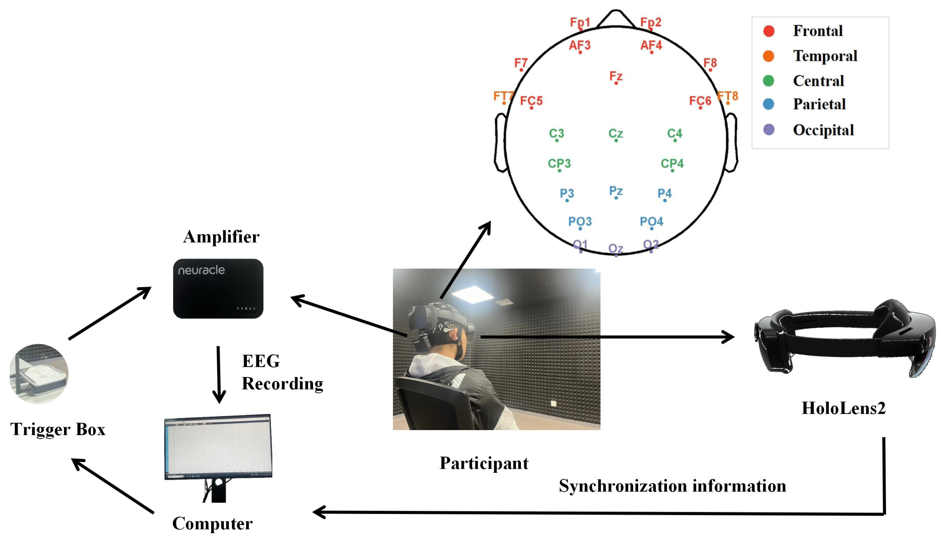 Brainsci 14 01126 g003