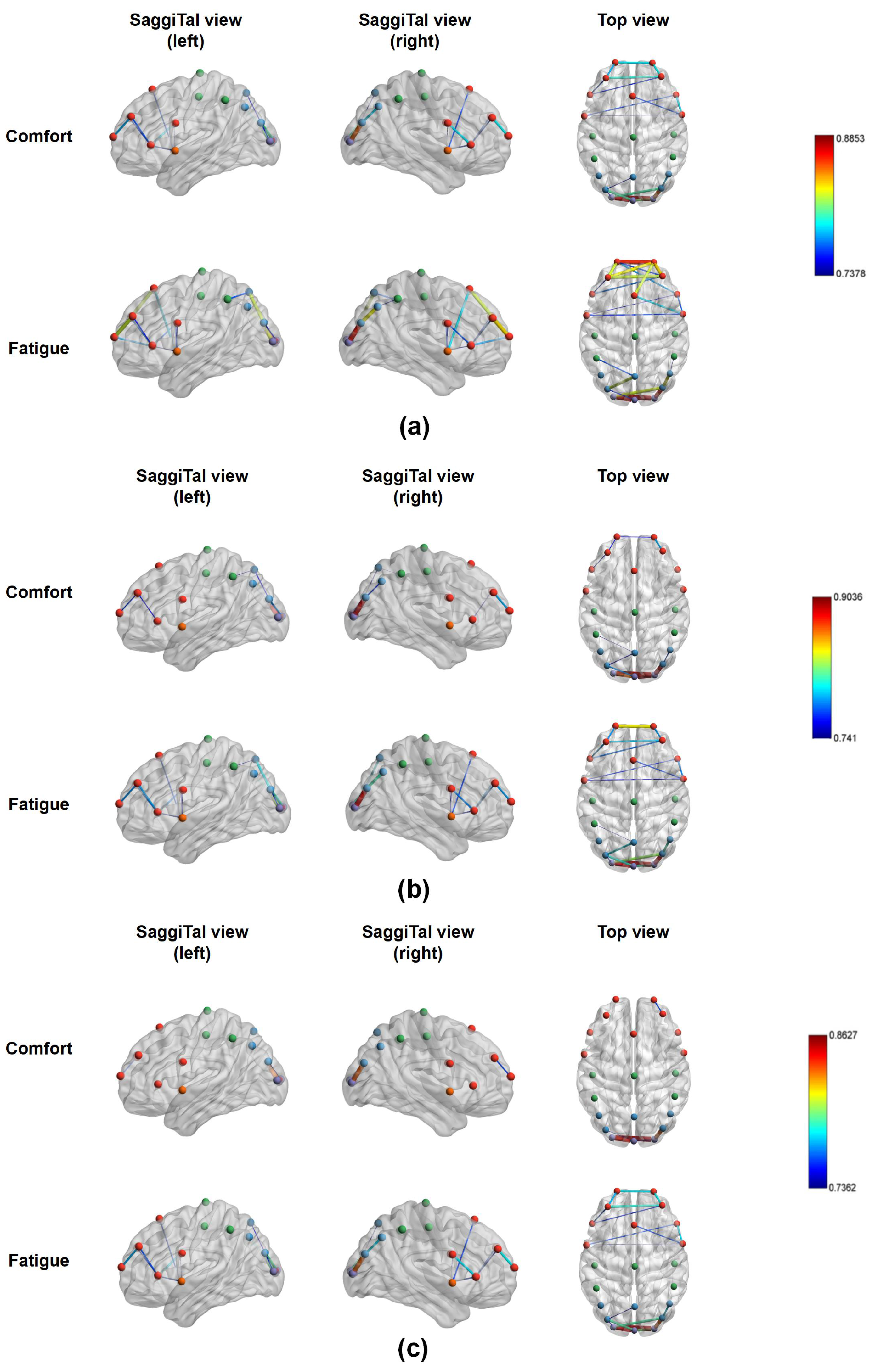 Brainsci 14 01126 g009