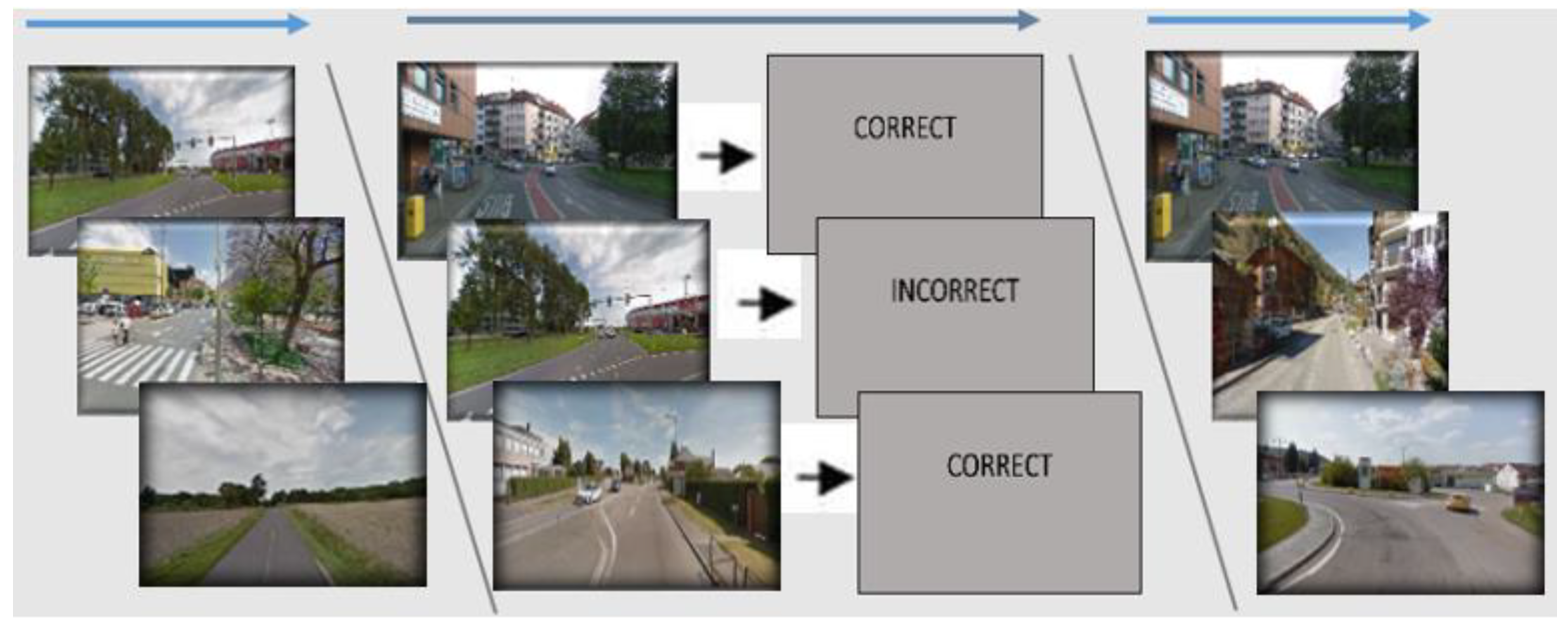 Brainsci 14 01138 g003