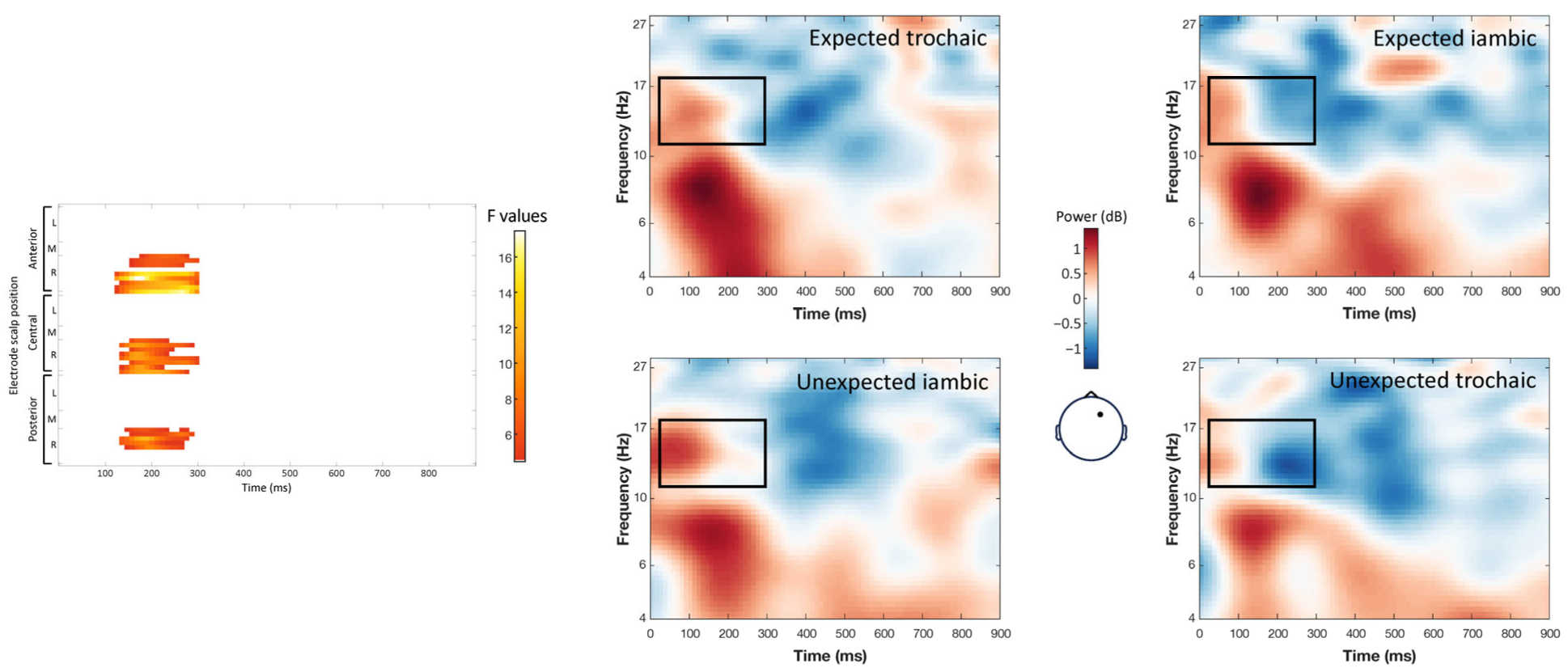 Brainsci 14 01142 g007