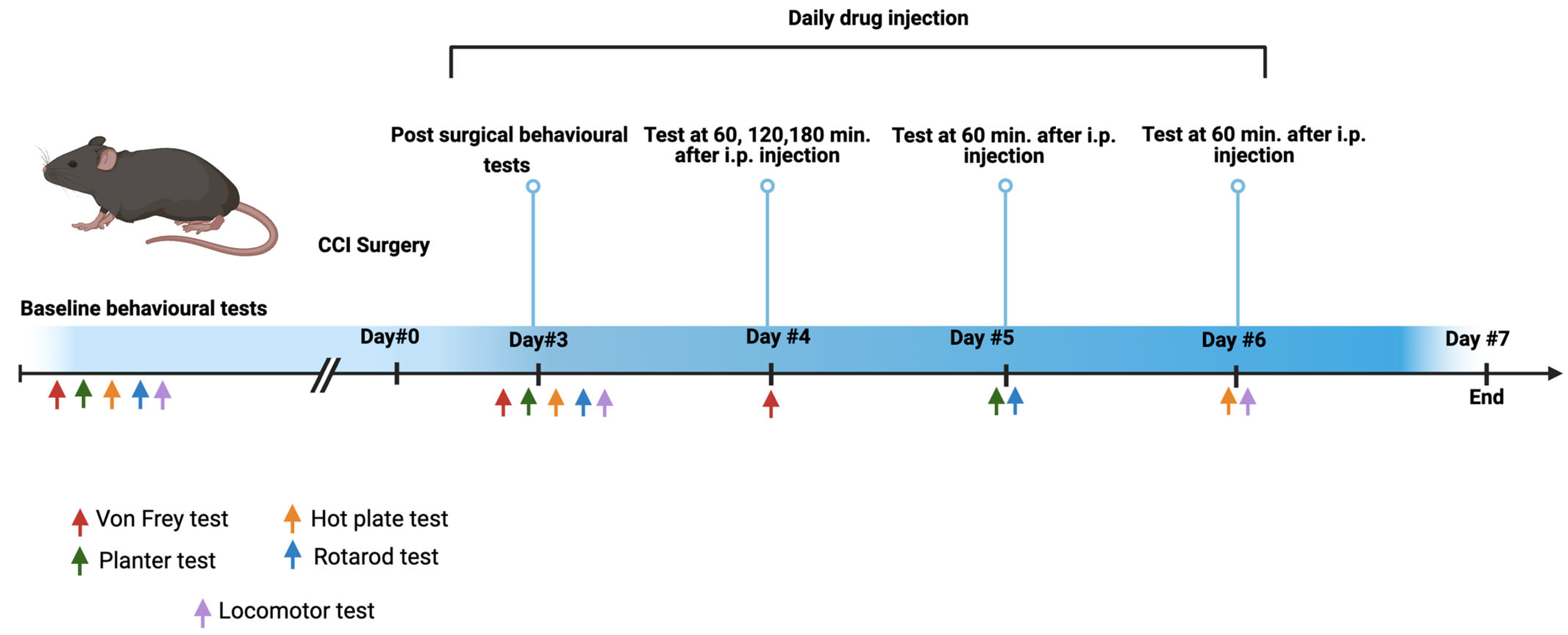 Brainsci 14 01145 g001