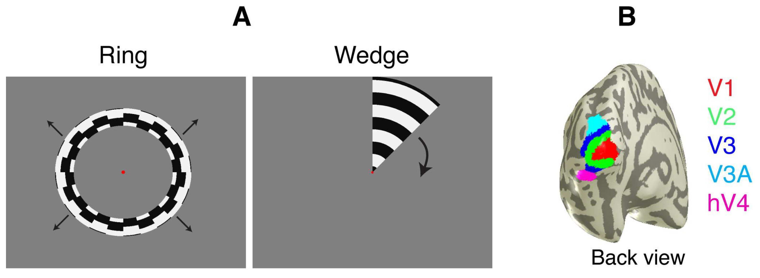Brainsci 14 01148 g002