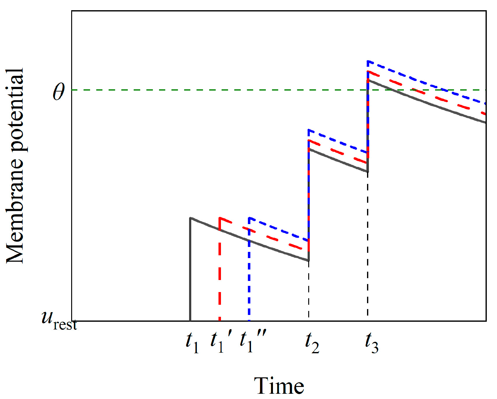 Brainsci 14 01149 g003