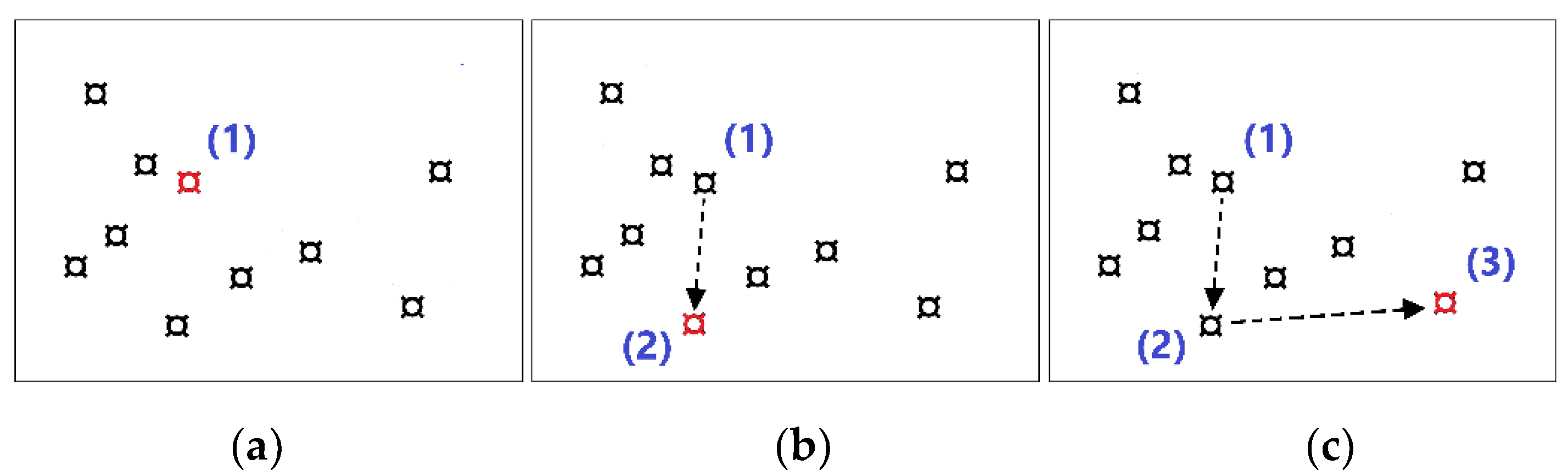 Brainsci 14 01152 g001