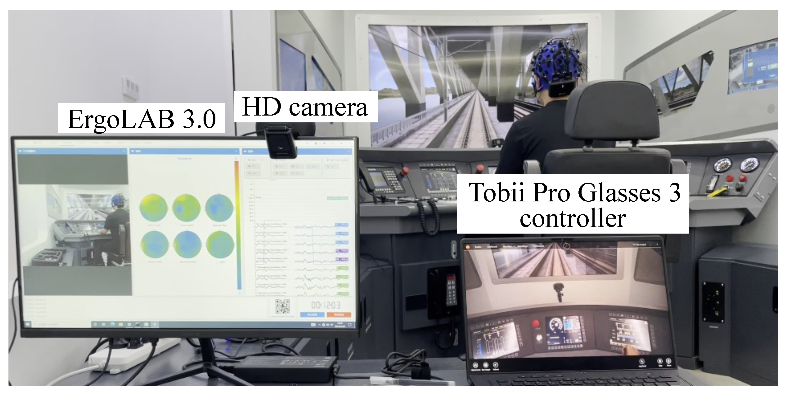 Brainsci 14 01156 g002