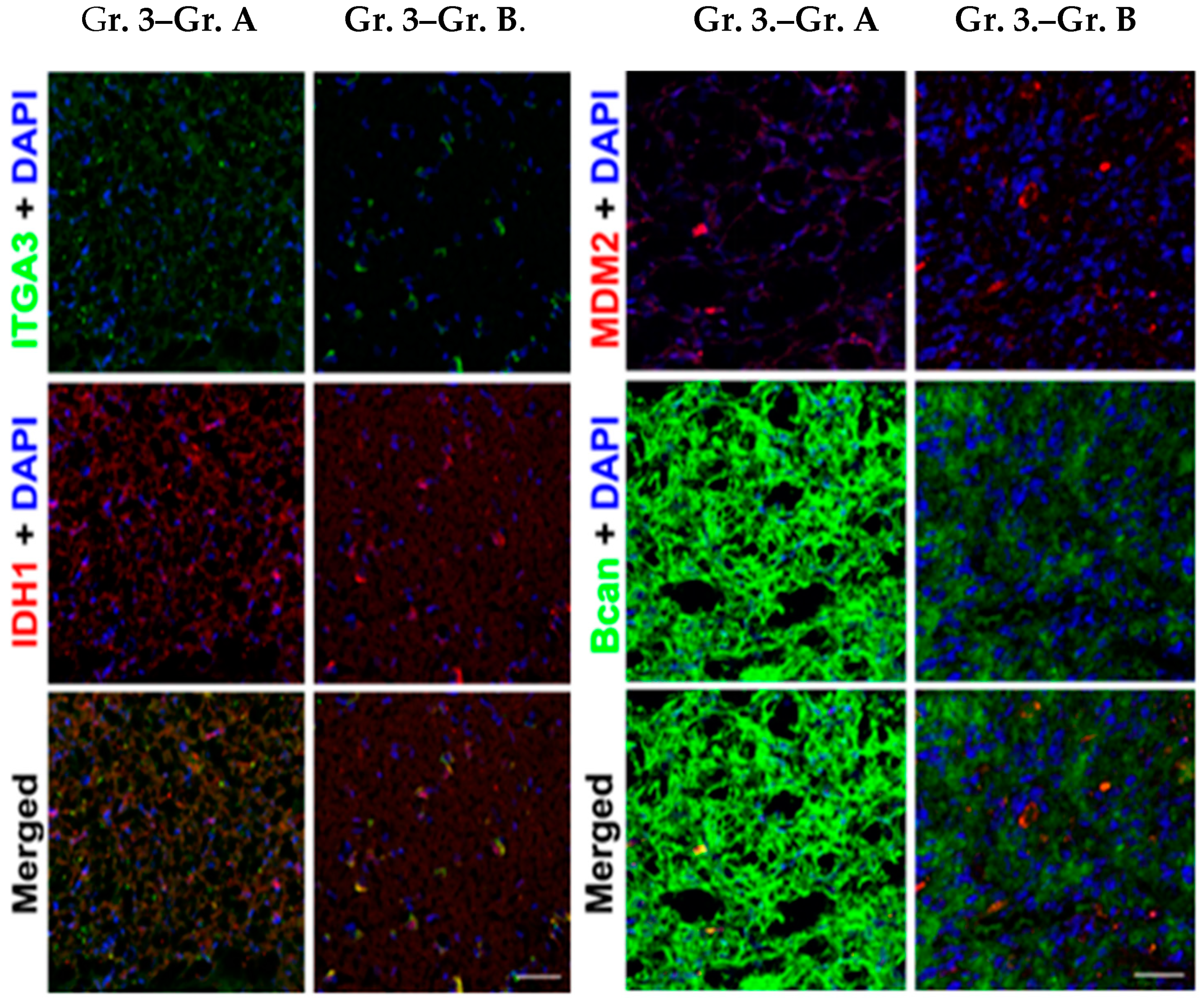 Brainsci 14 01157 g003
