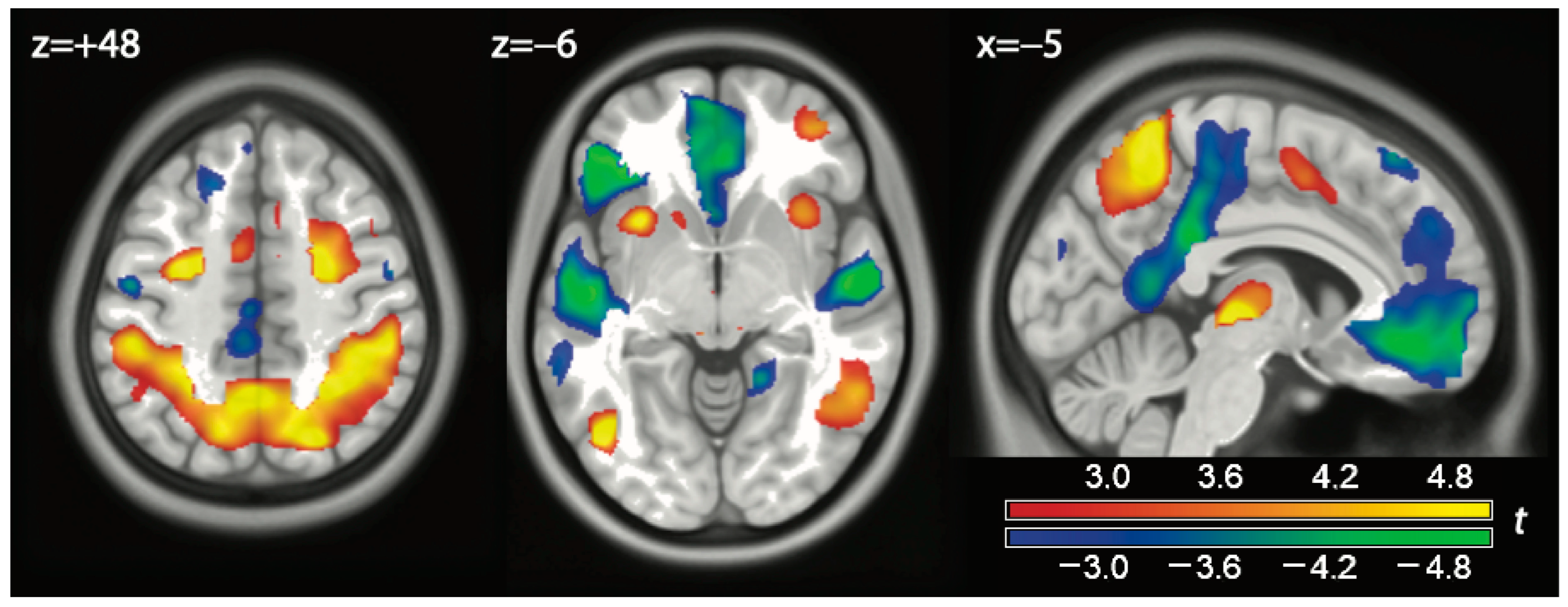Brainsci 14 01158 g001