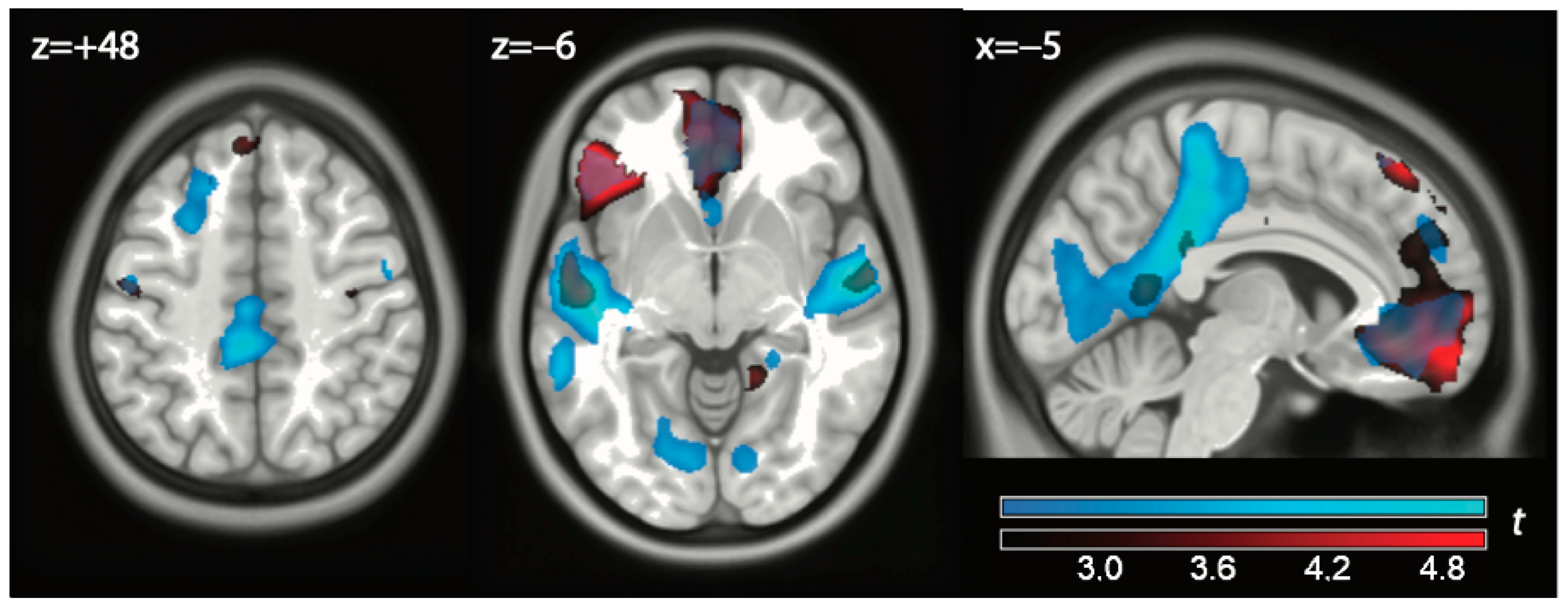 Brainsci 14 01158 g002